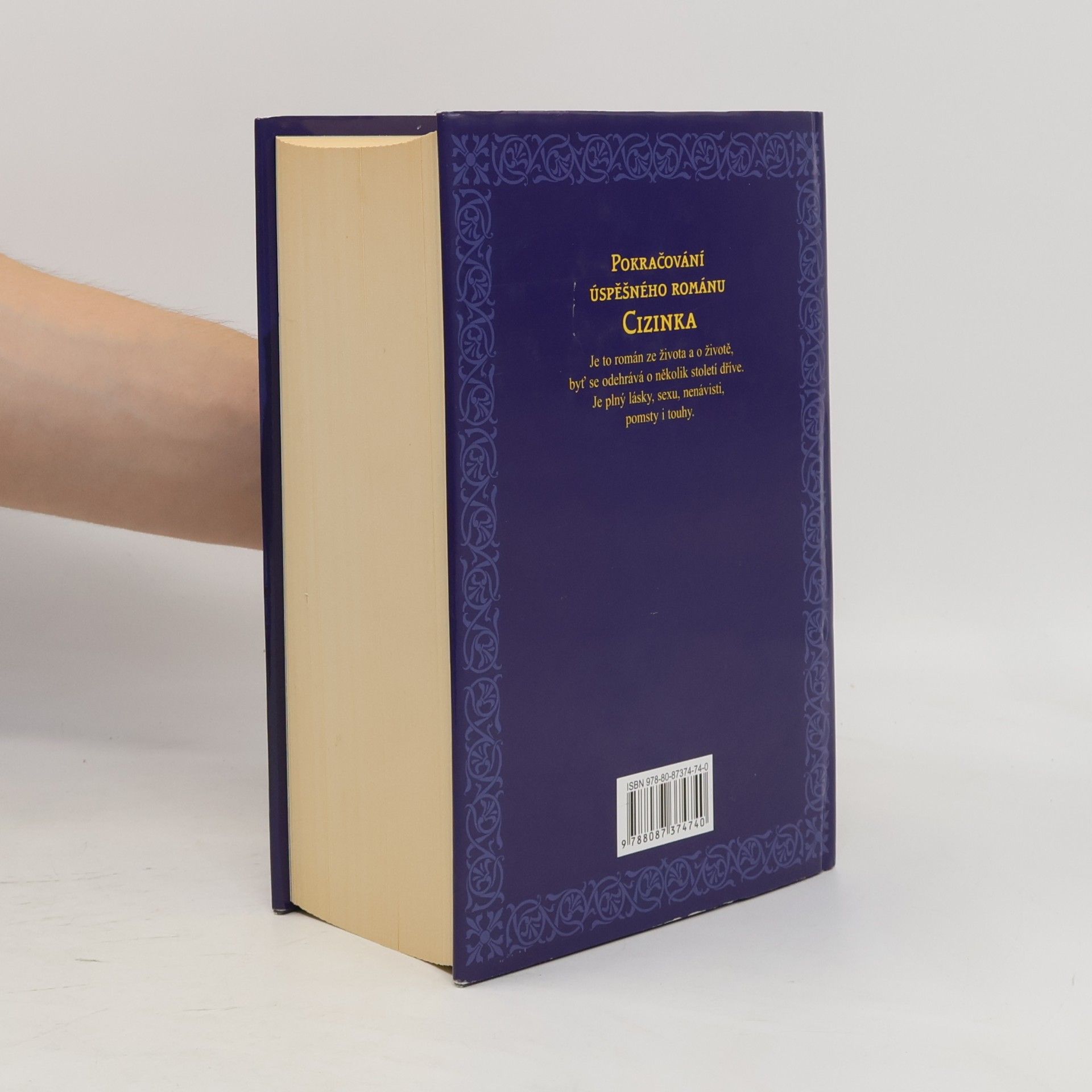 Diana Gabaldon Vážka v jantaru