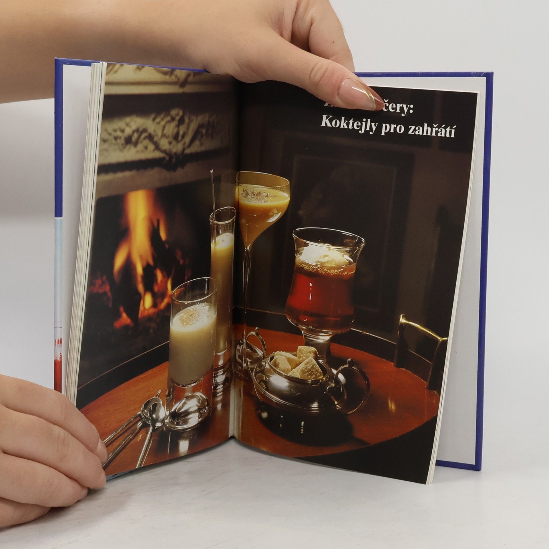 Kolektiv autorů Koktejly