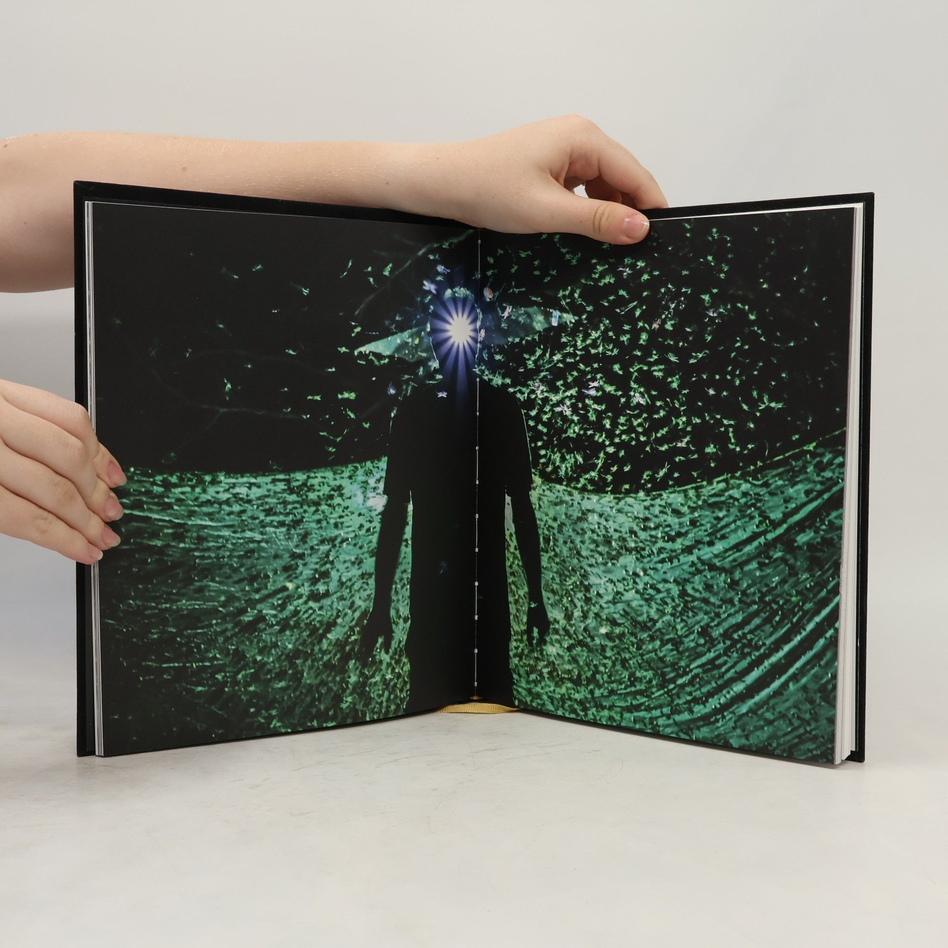Collectif d'auteurs Professor Beneš' Cabinet of Mysteries