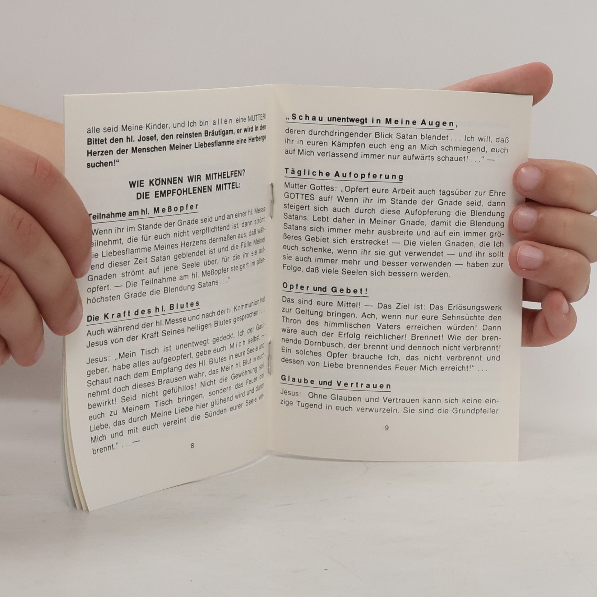 Autorenkollektiv Die Liebesflamme