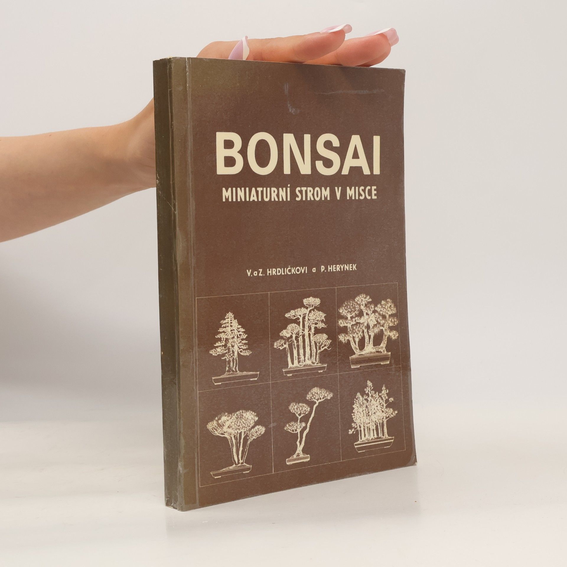 Bonsai. Miniaturní strom v misce