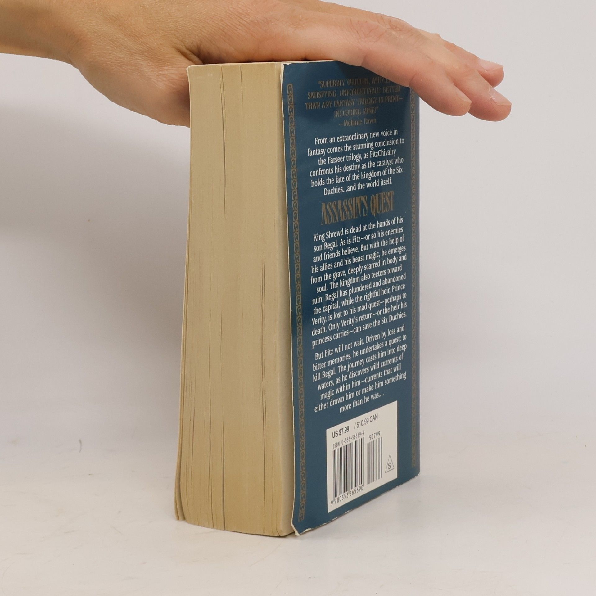 Robin Hobb Assassin's Quest