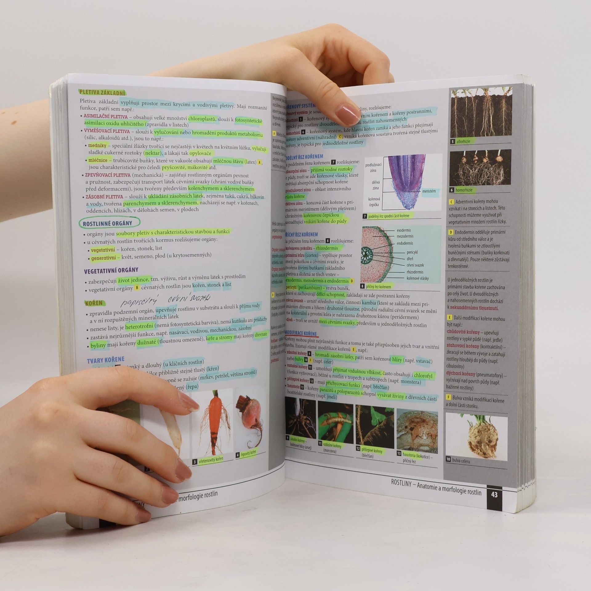Kolektív autorov Odmaturuj! z biologie