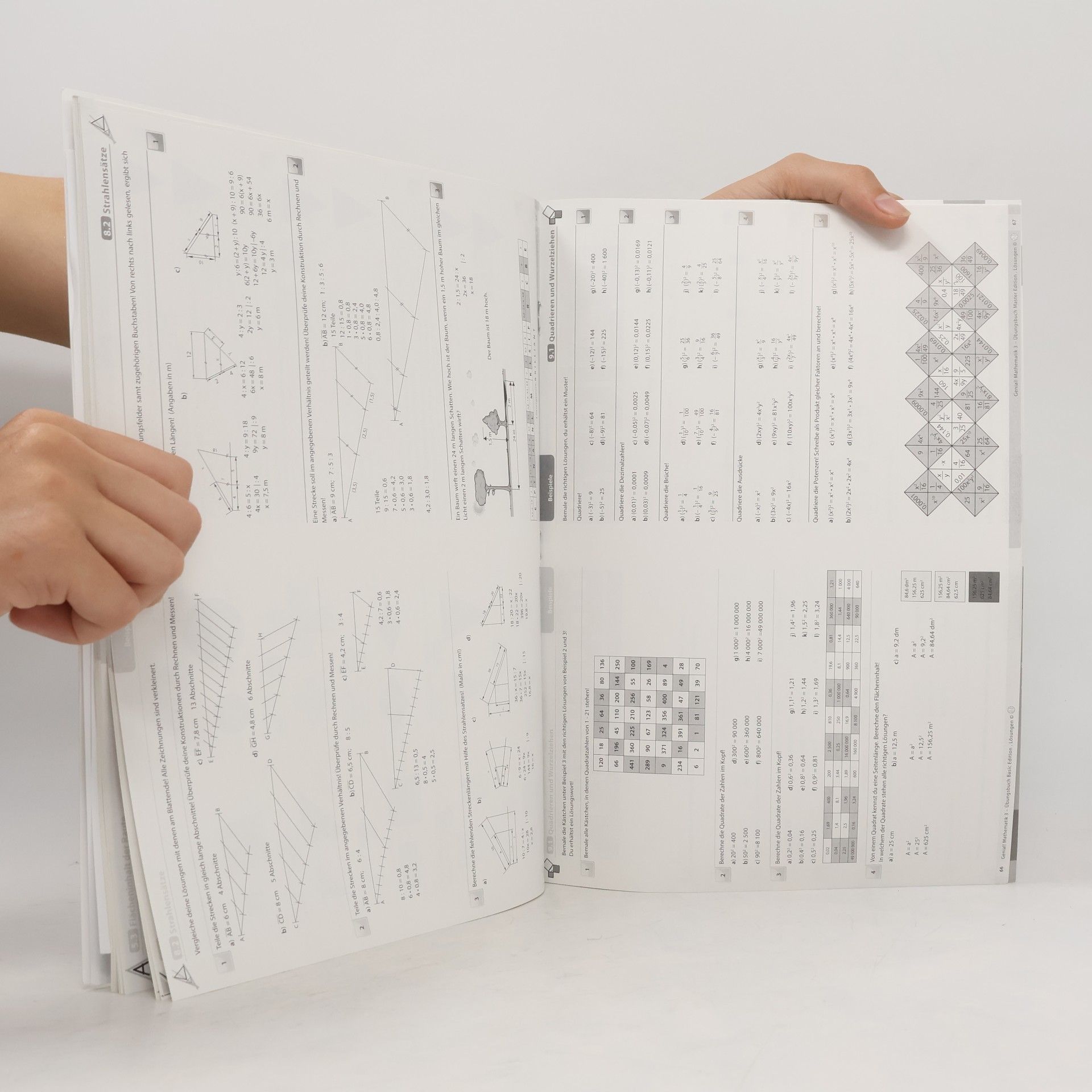 Ute Müller Genial! Mathematik 3. Basic & Master Edition. Lösungen
