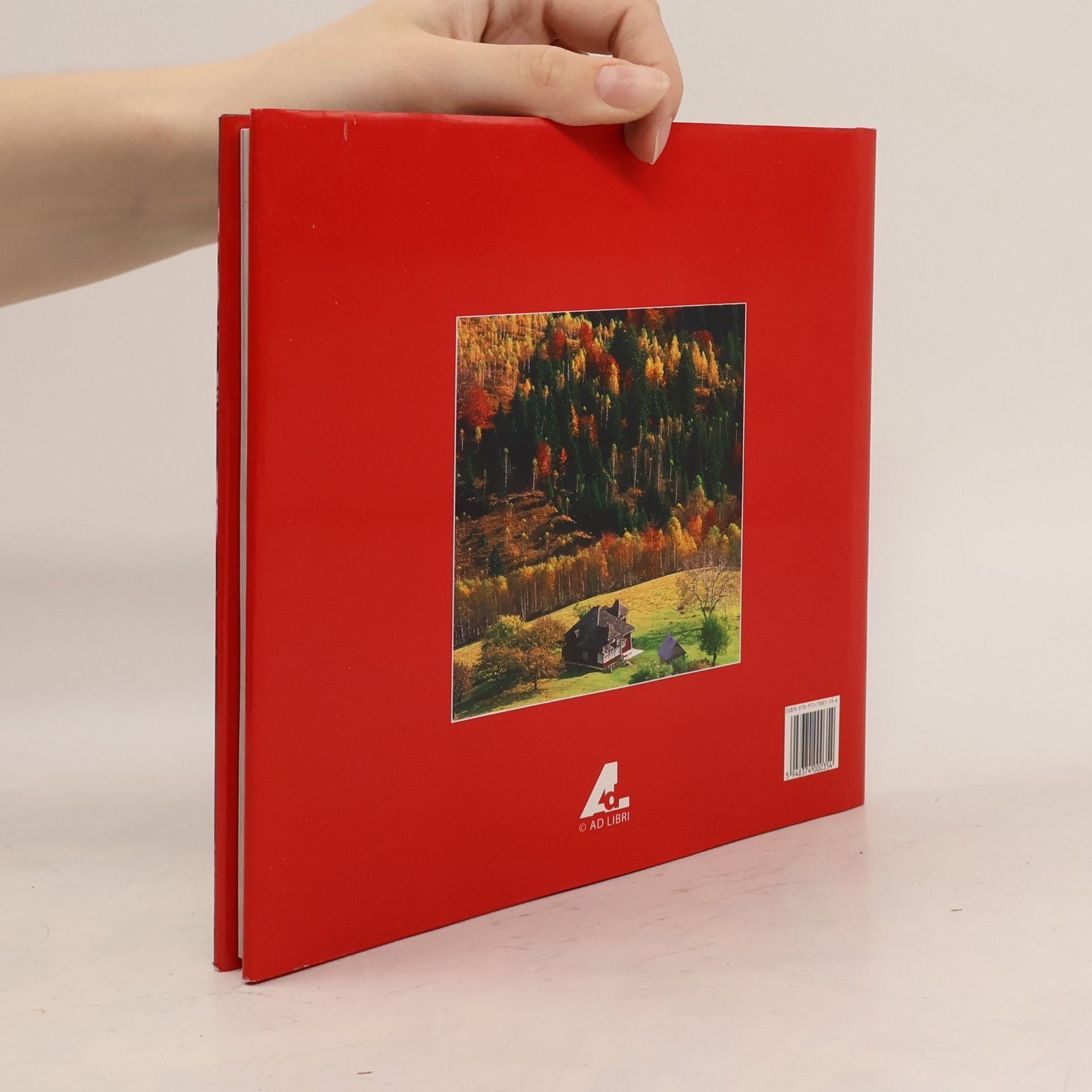 Florin Andreescu România : a photographic memoir - eine fotografische Erinnerung
