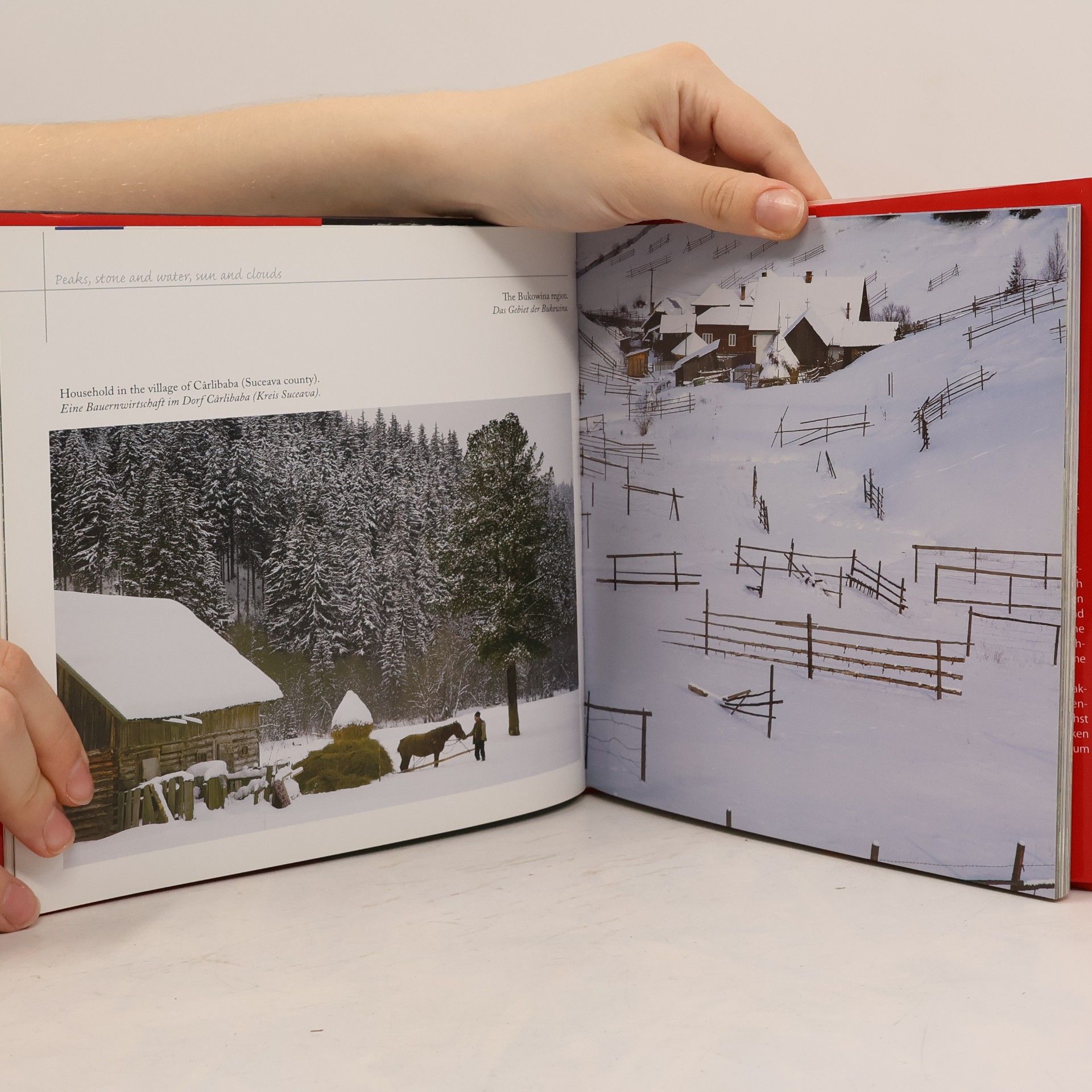 Florin Andreescu România : a photographic memoir - eine fotografische Erinnerung