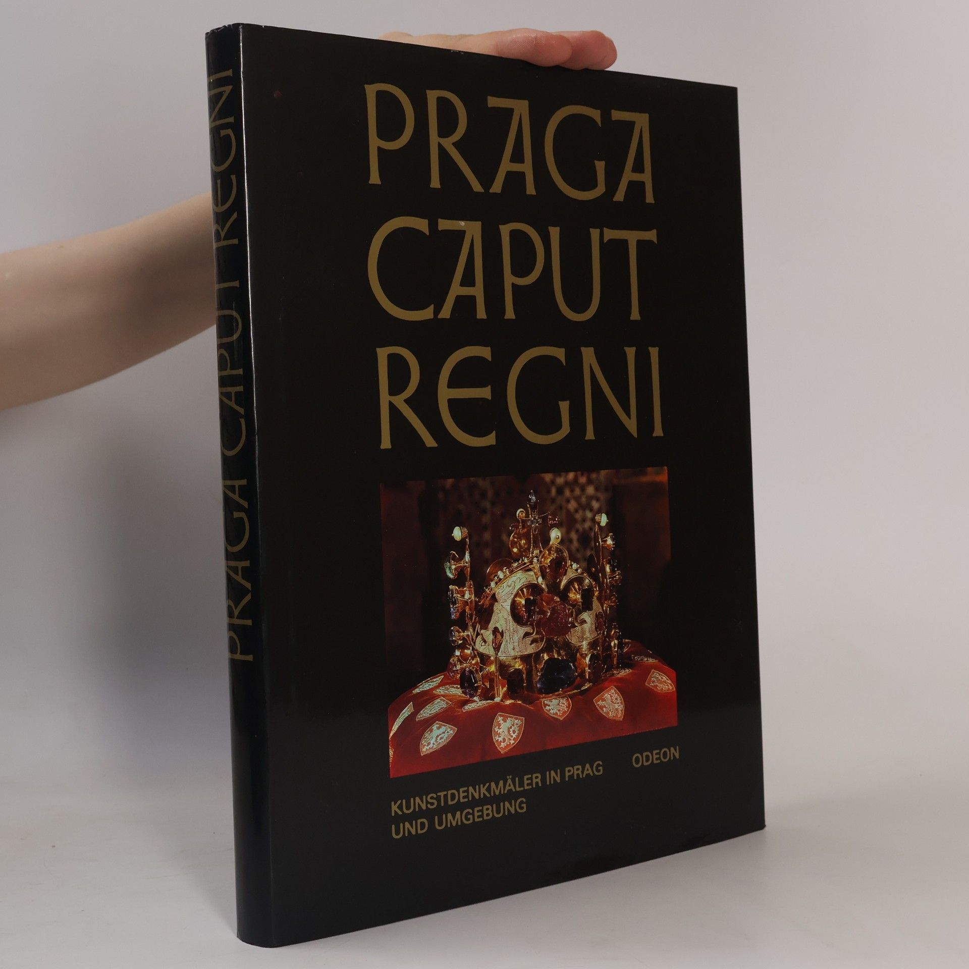 Karel Neubert Praga caput regni. Kunstdenkmäler in Prag und Umgebung