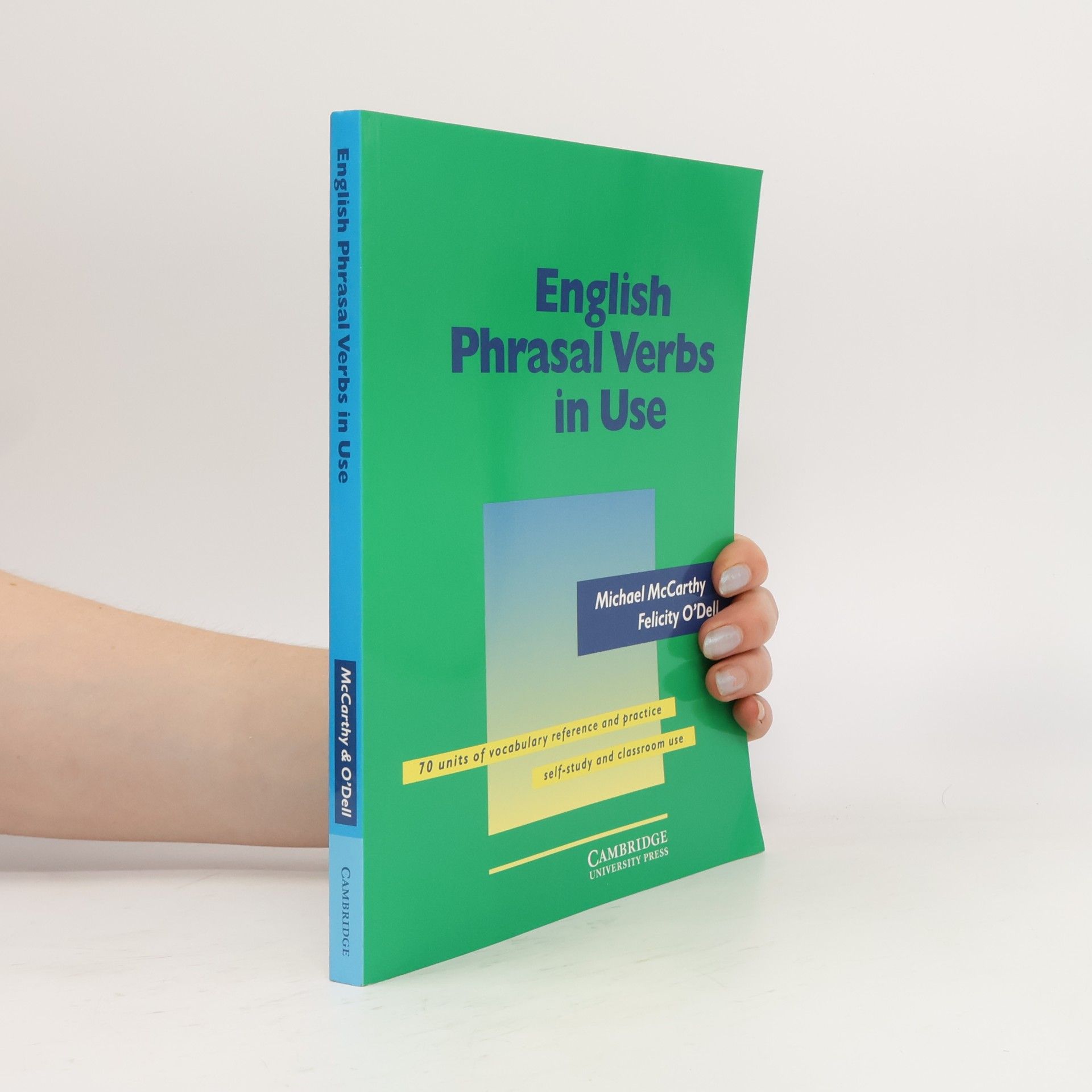 English phrasal verbs in use