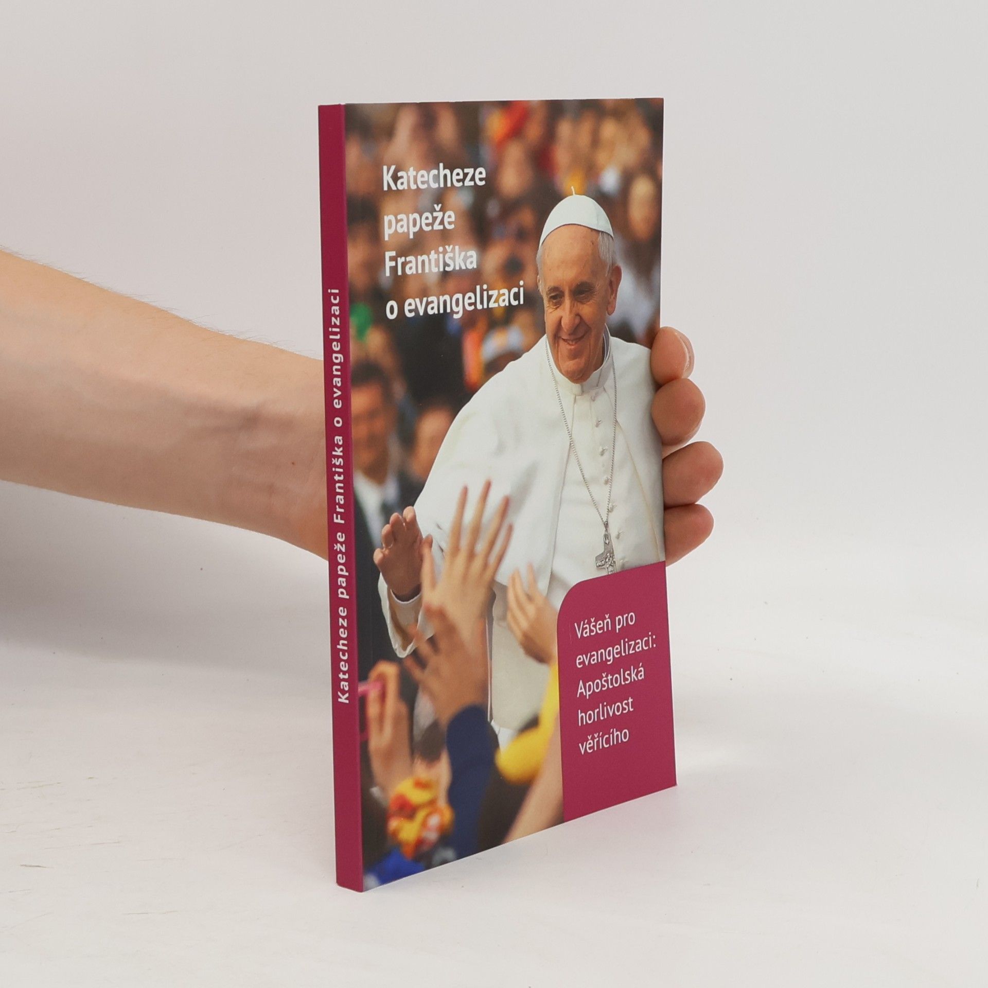 Papež František Katecheze papeže Františka o evangelizaci
