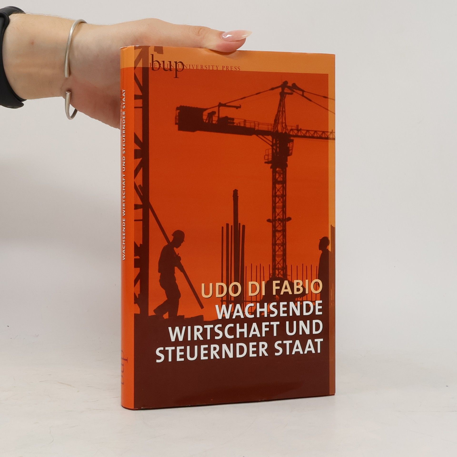 Udo Di Fabio Wachsende Wirtschaft und steuernder Staat