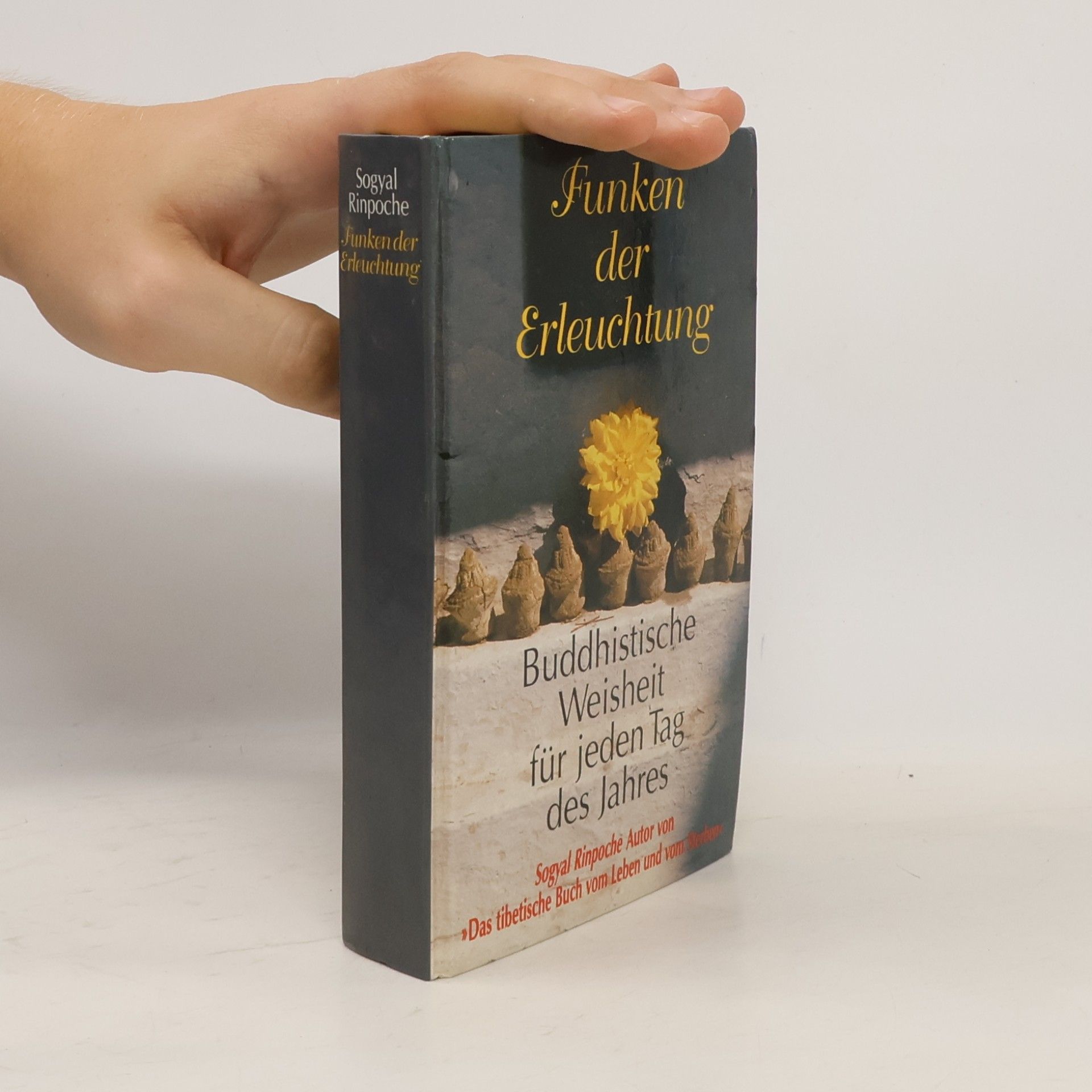 Sogyal Rinpoche Funken der Erleuchtung