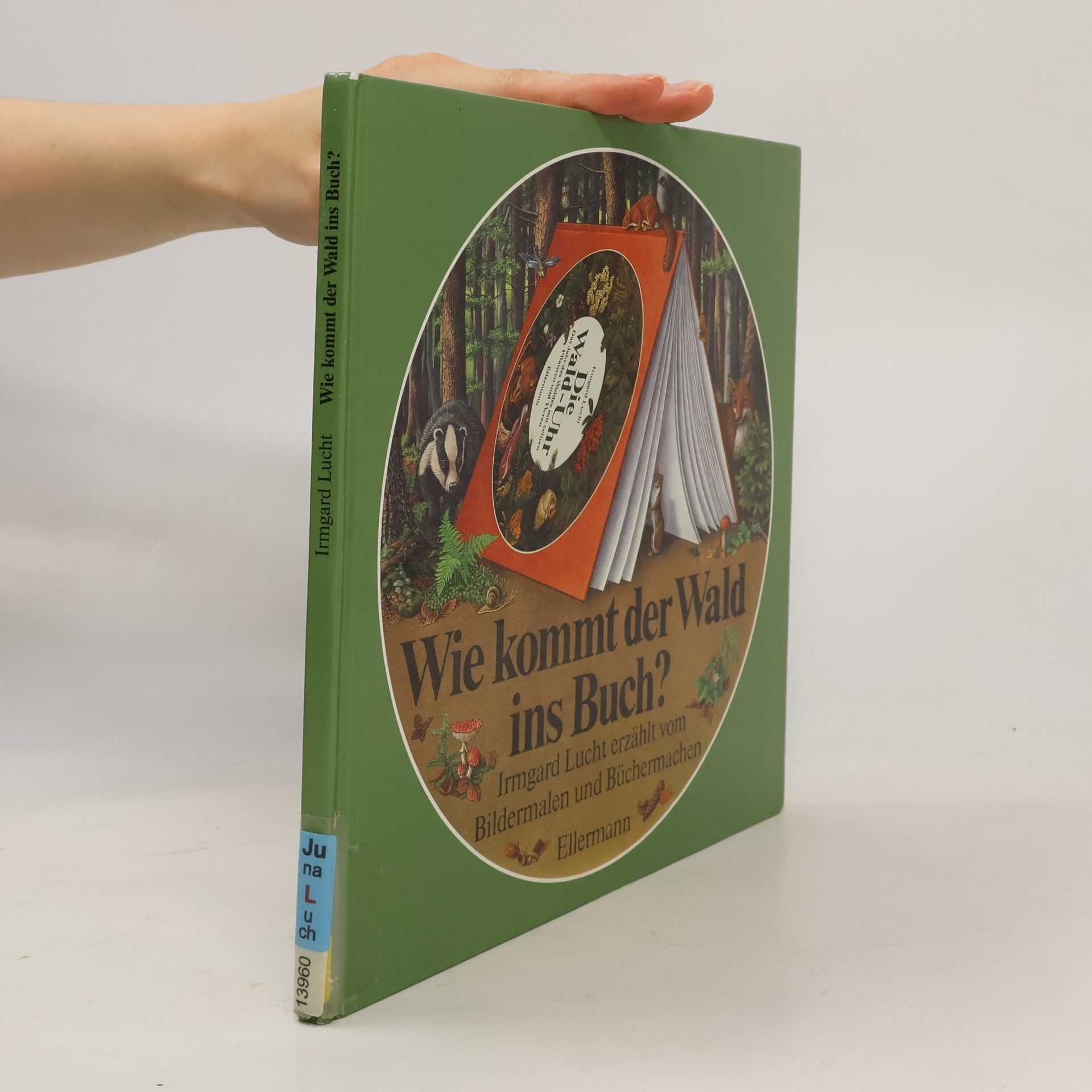 Wie kommt der Wald ins Buch? Von der Idee, ein Sachbilderbuch zu machen