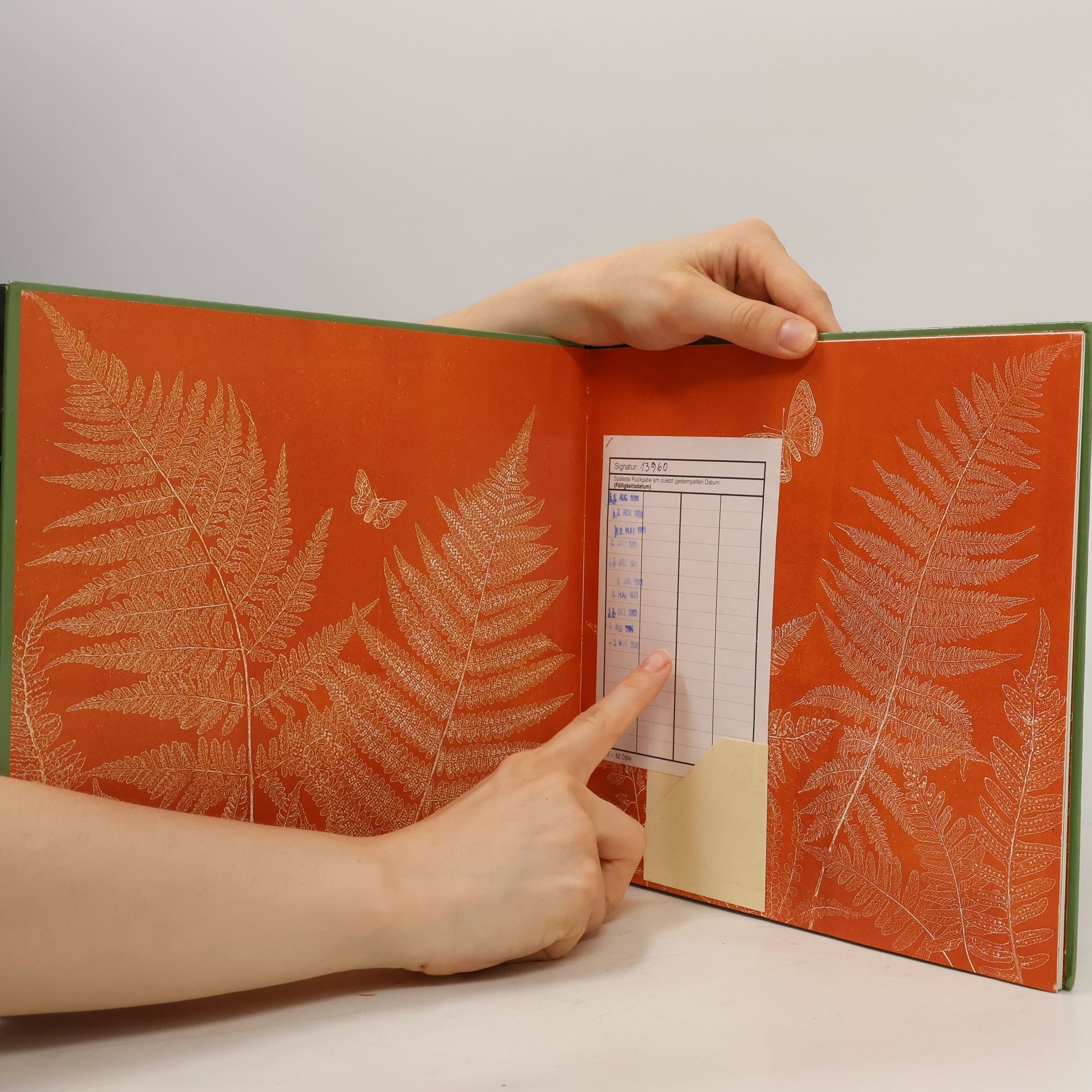 Irmgard Lucht Wie kommt der Wald ins Buch? Von der Idee, ein Sachbilderbuch zu machen