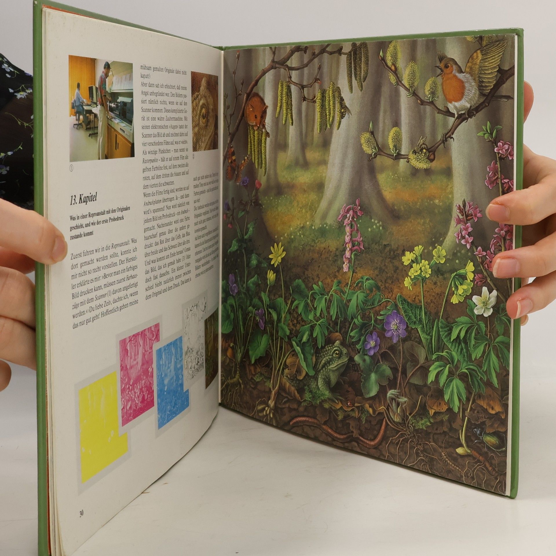 Irmgard Lucht Wie kommt der Wald ins Buch? Von der Idee, ein Sachbilderbuch zu machen