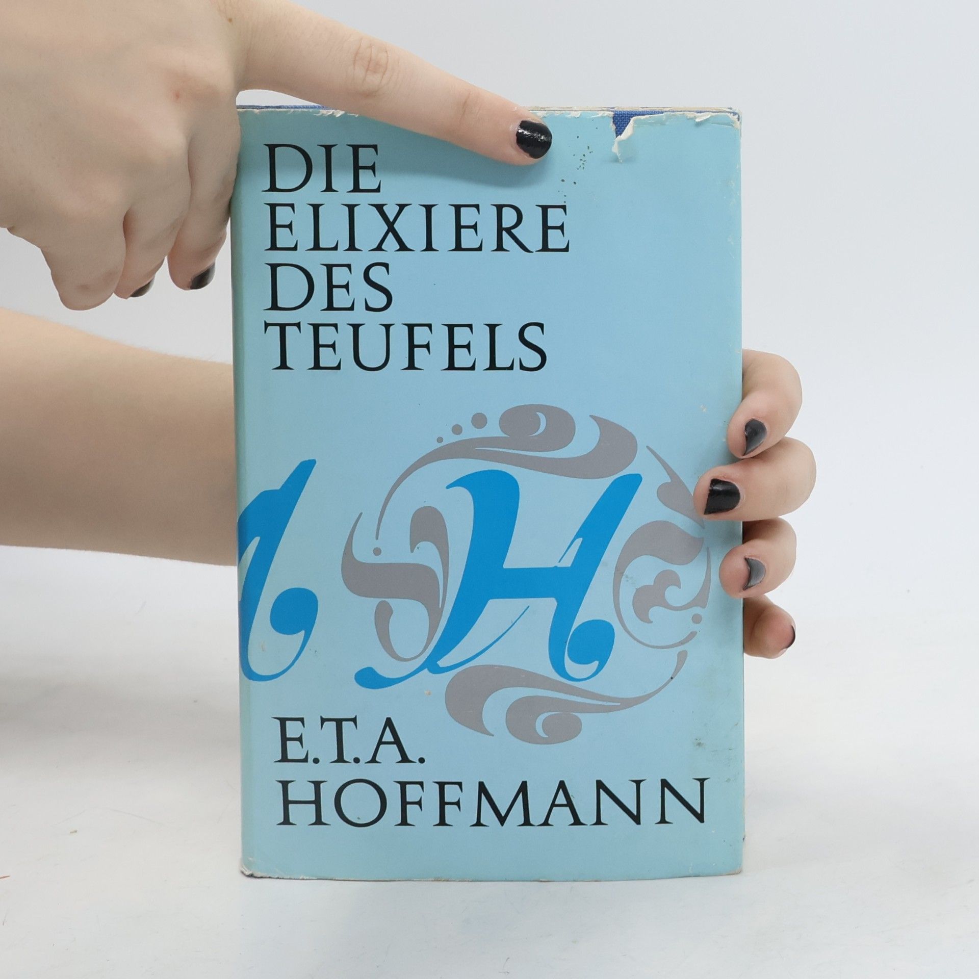 E. T. A. Hoffmann Die Elixiere des Teufels