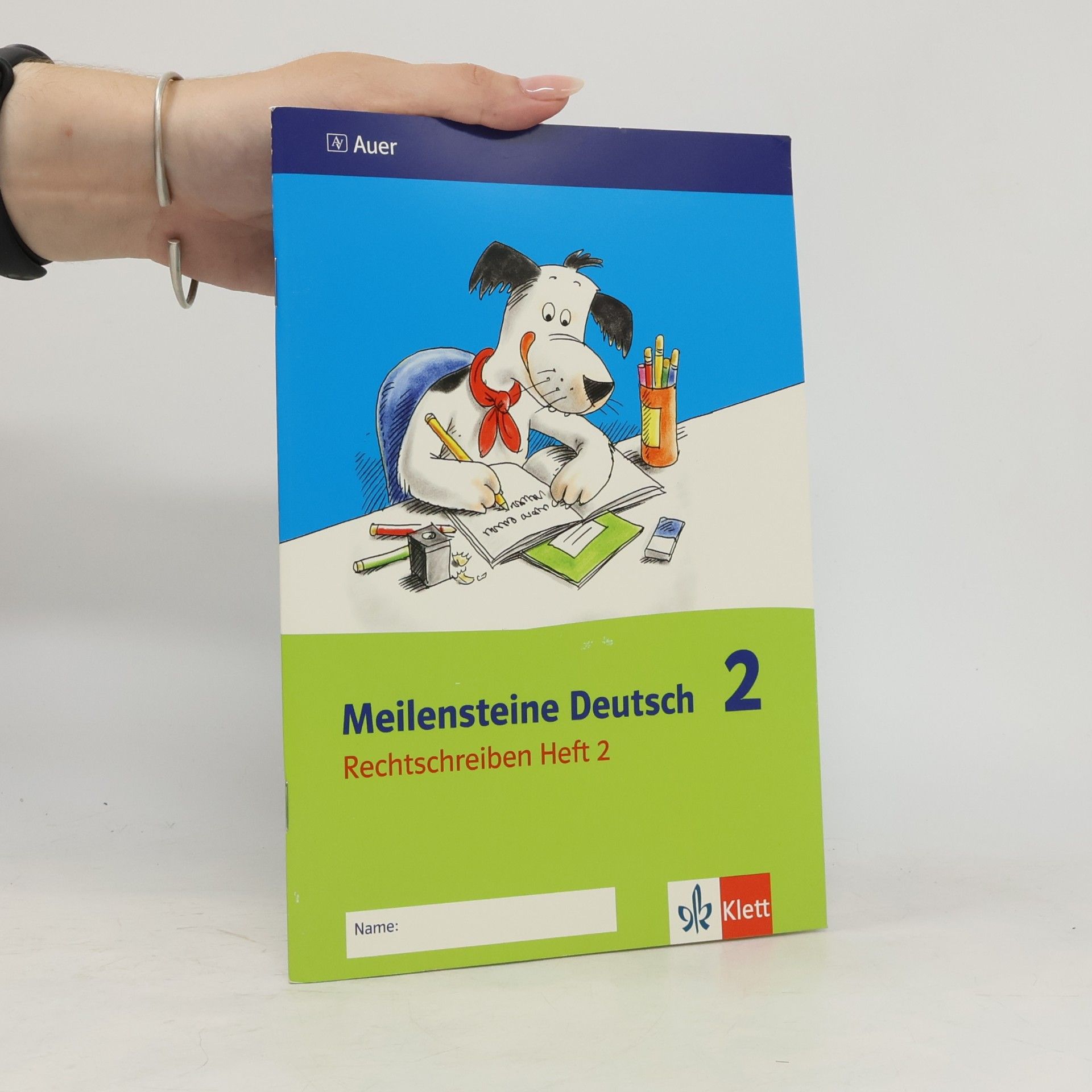 Kolektiv autorů Meilensteine Deutsch 2