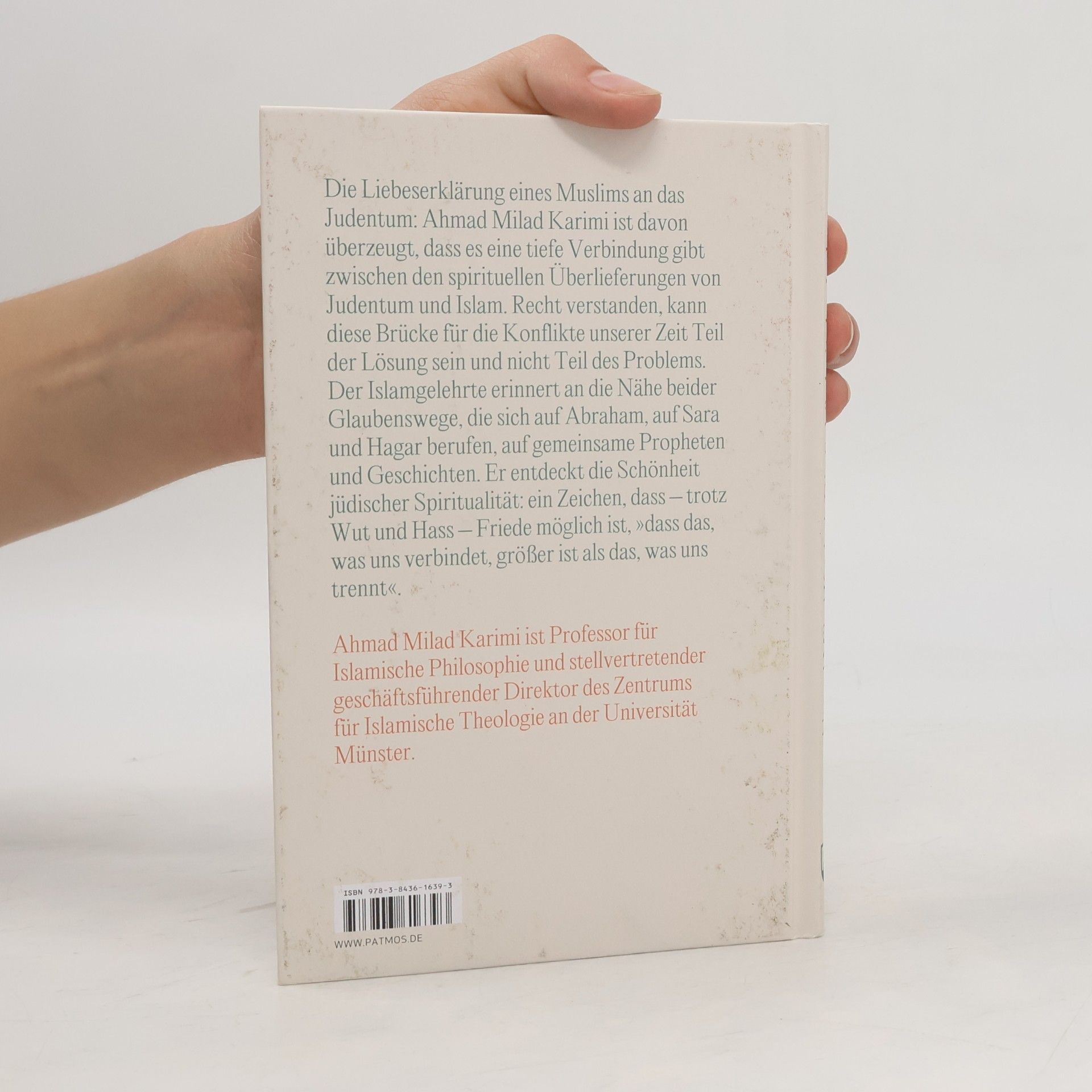 Ahmad Milad Karimi Die Schönheit des Judentums