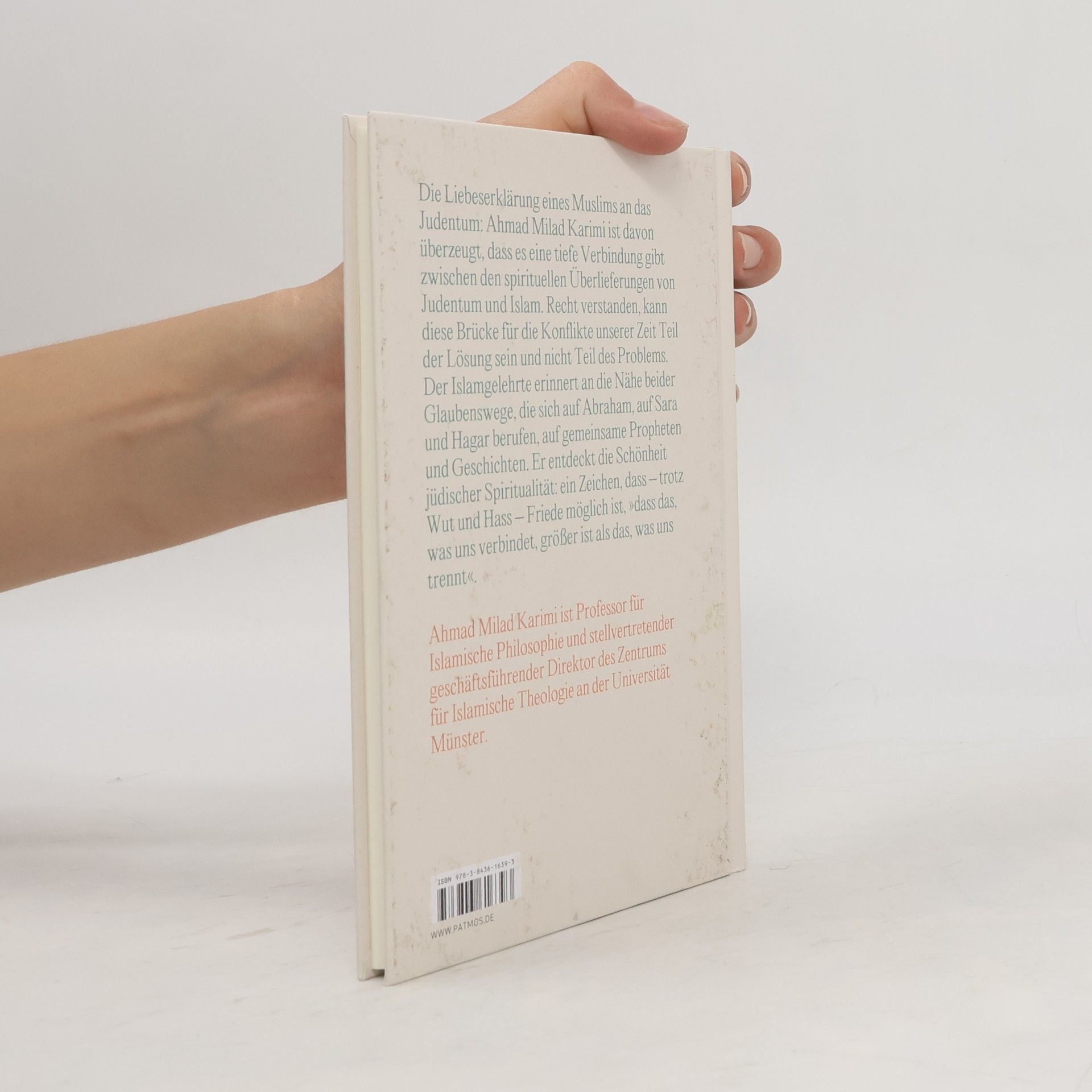 Ahmad Milad Karimi Die Schönheit des Judentums