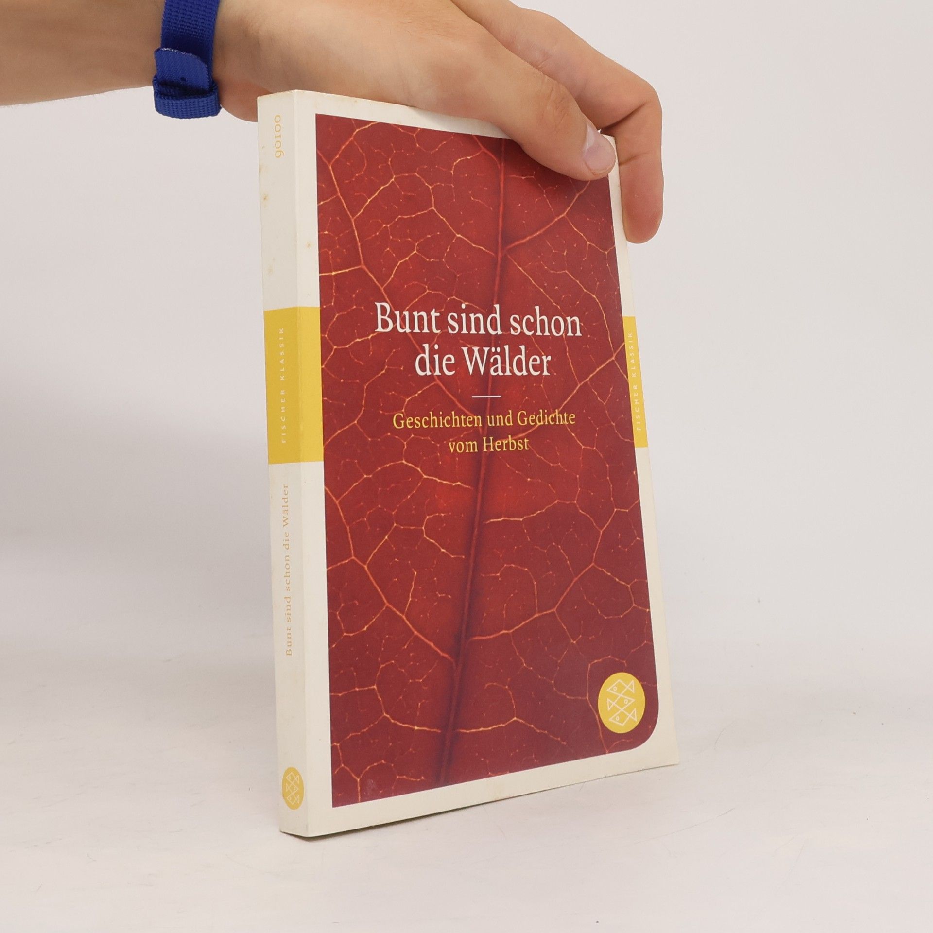 Axel Ruckaberle Bunt sind schon die Wälder