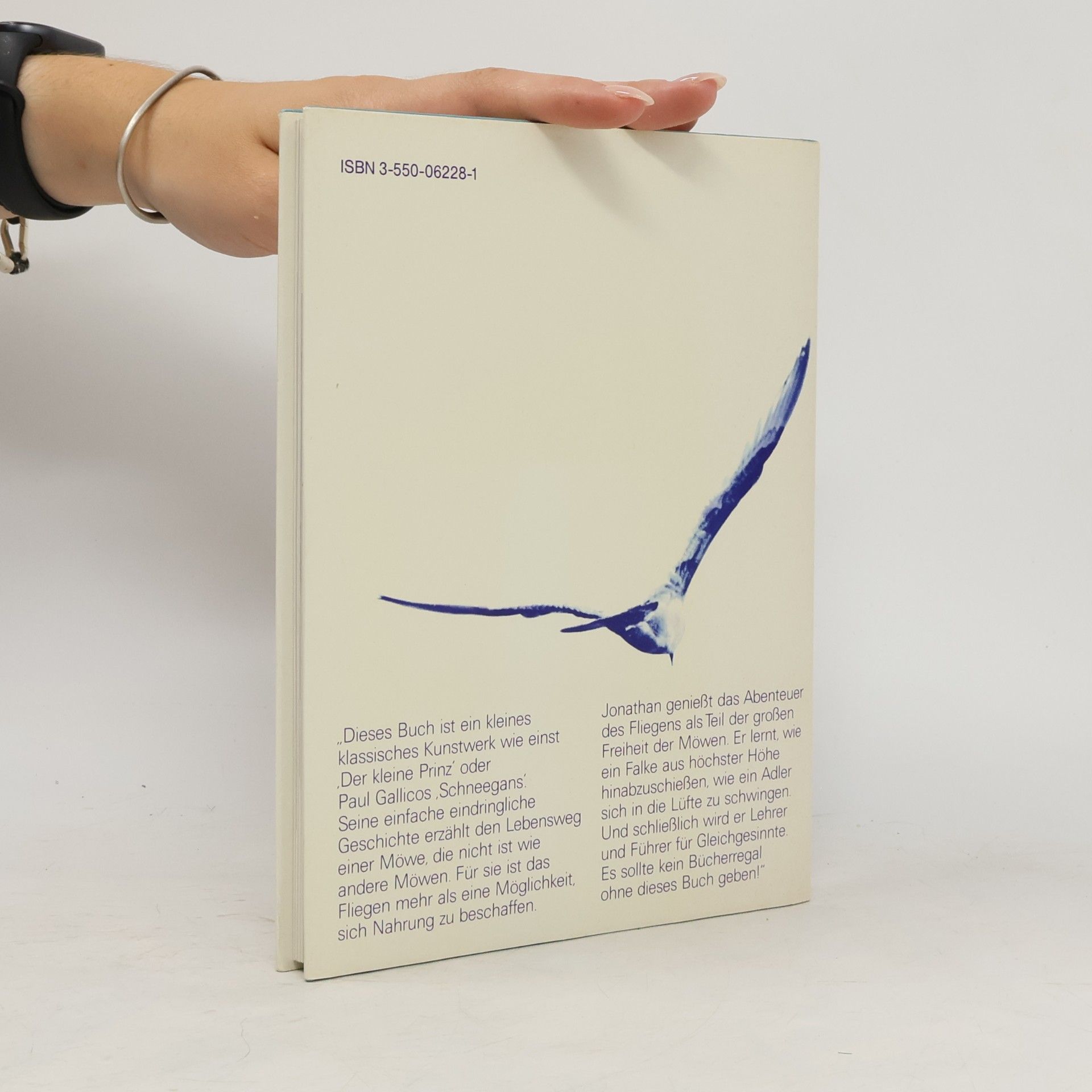 Richard Bach Die Möwe Jonathan