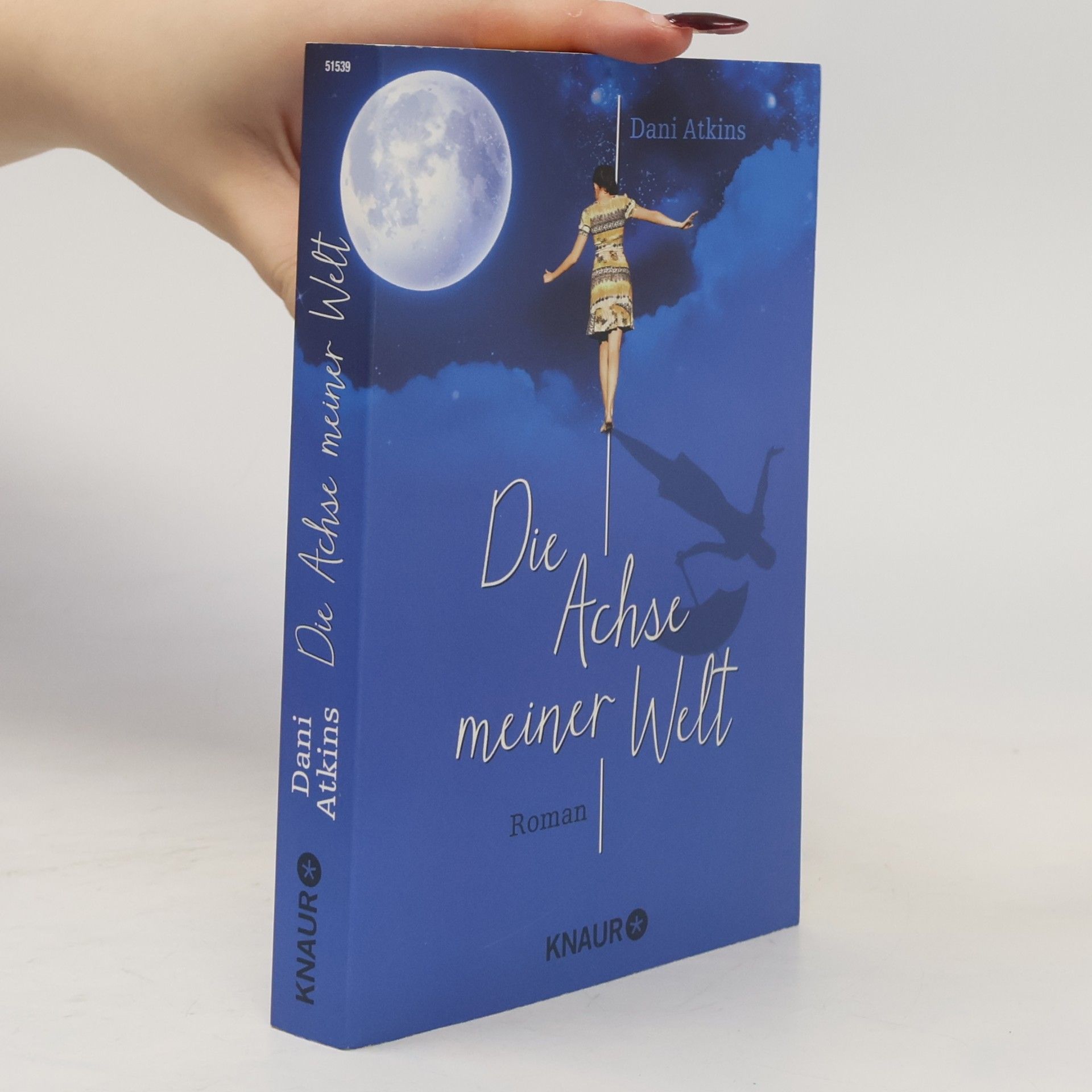 Dani Atkins Die Achse meiner Welt