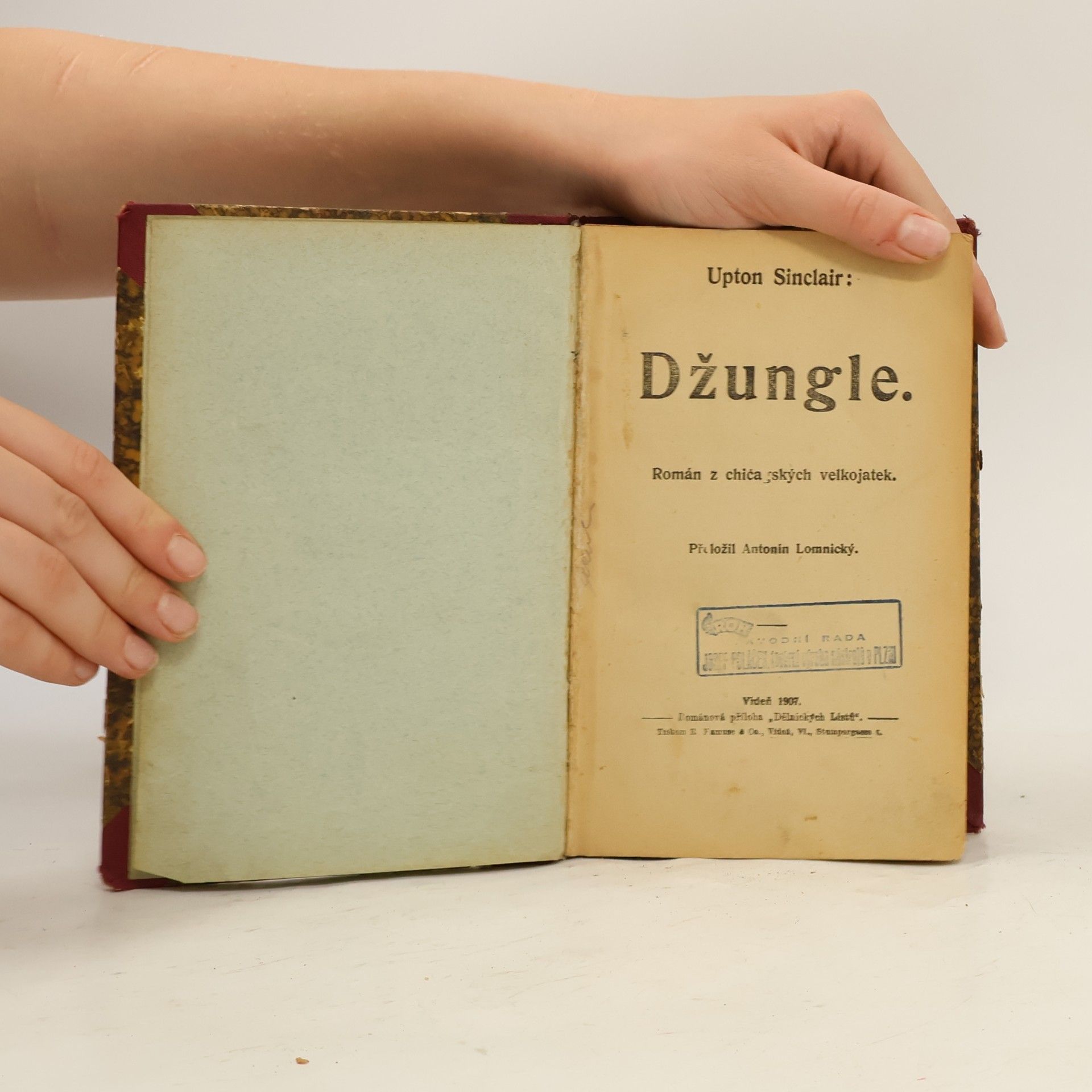 Upton Sinclair Džungle