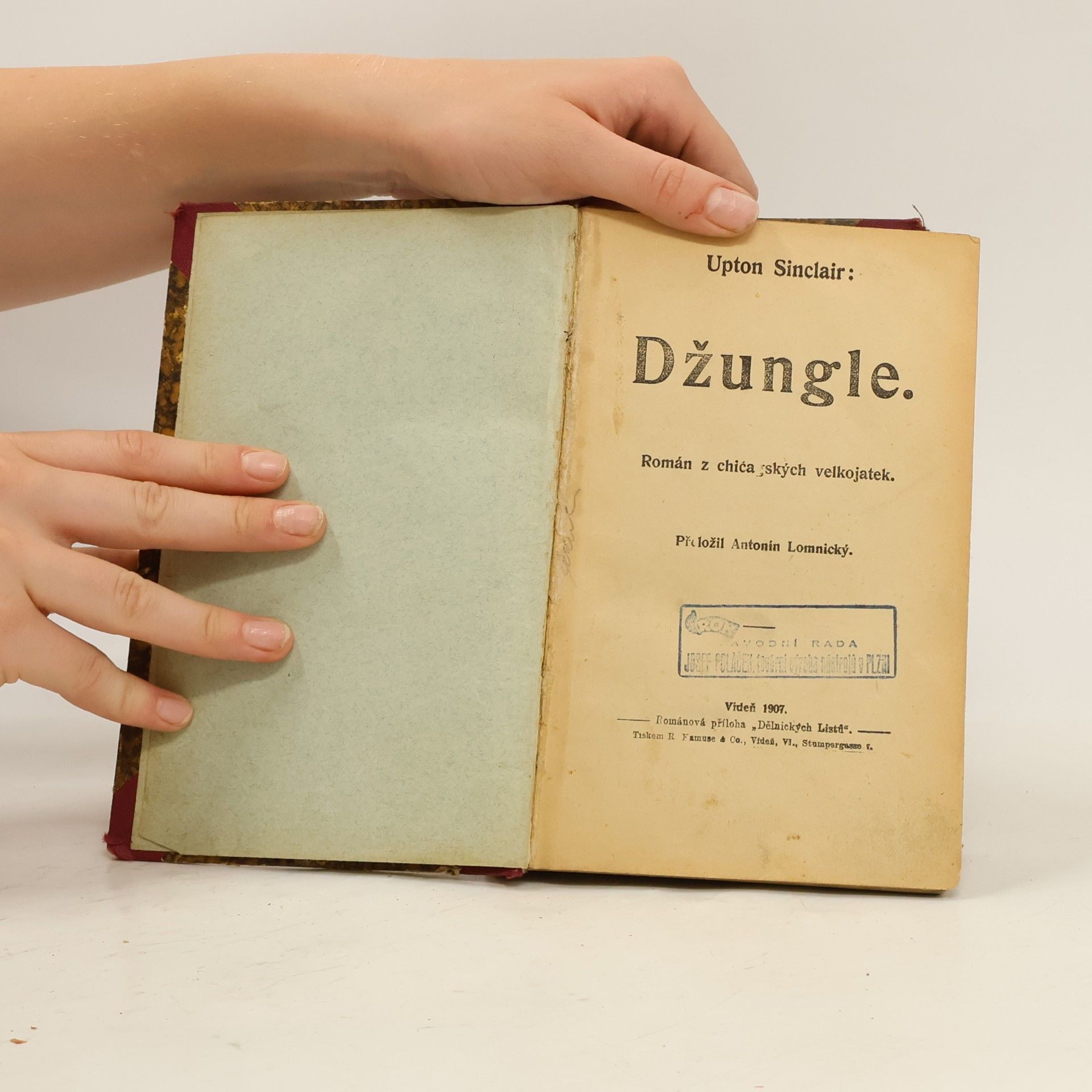 Upton Sinclair Džungle