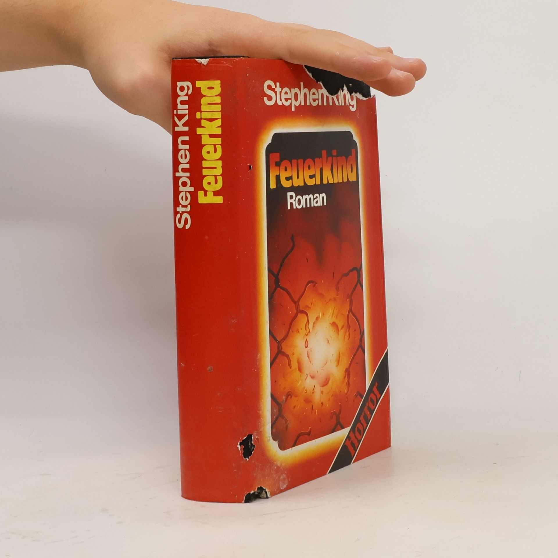 Stephen King Feuerkind