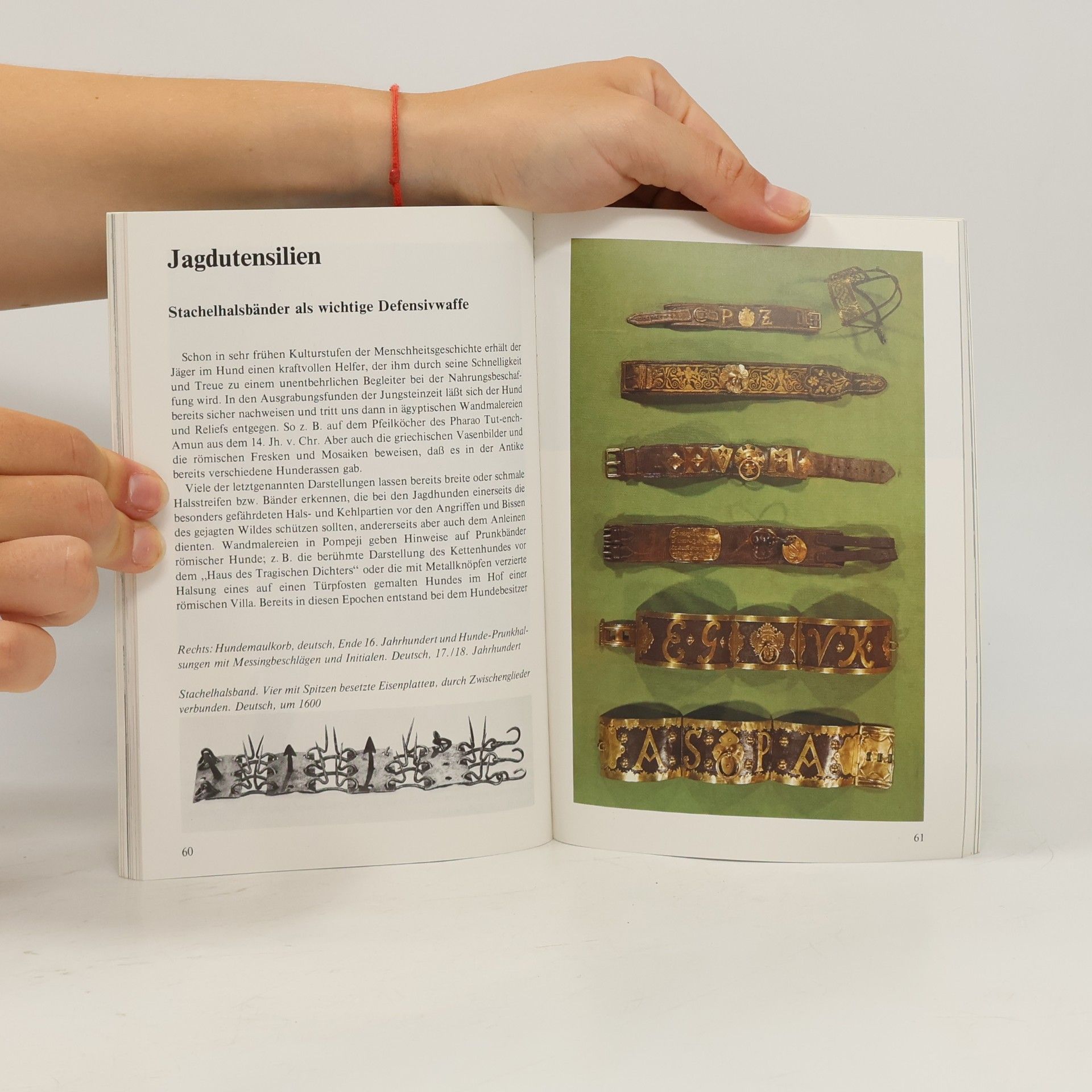 Various authors Museum