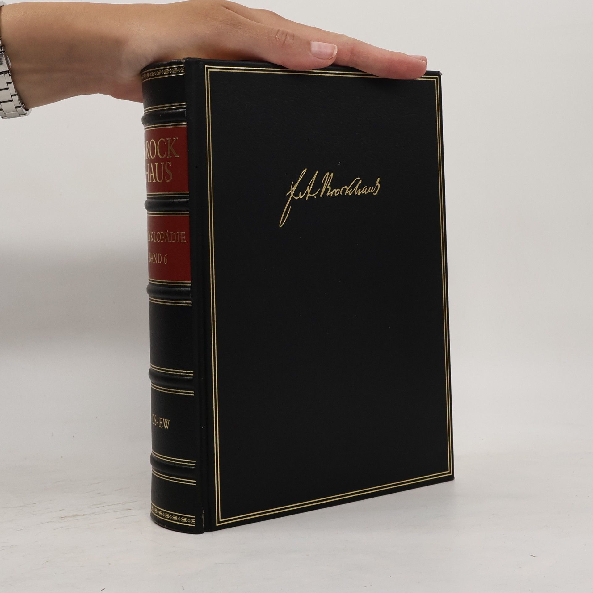 Autorenkollektiv Brockhaus Enzyklopädie 6 (DS-EW)