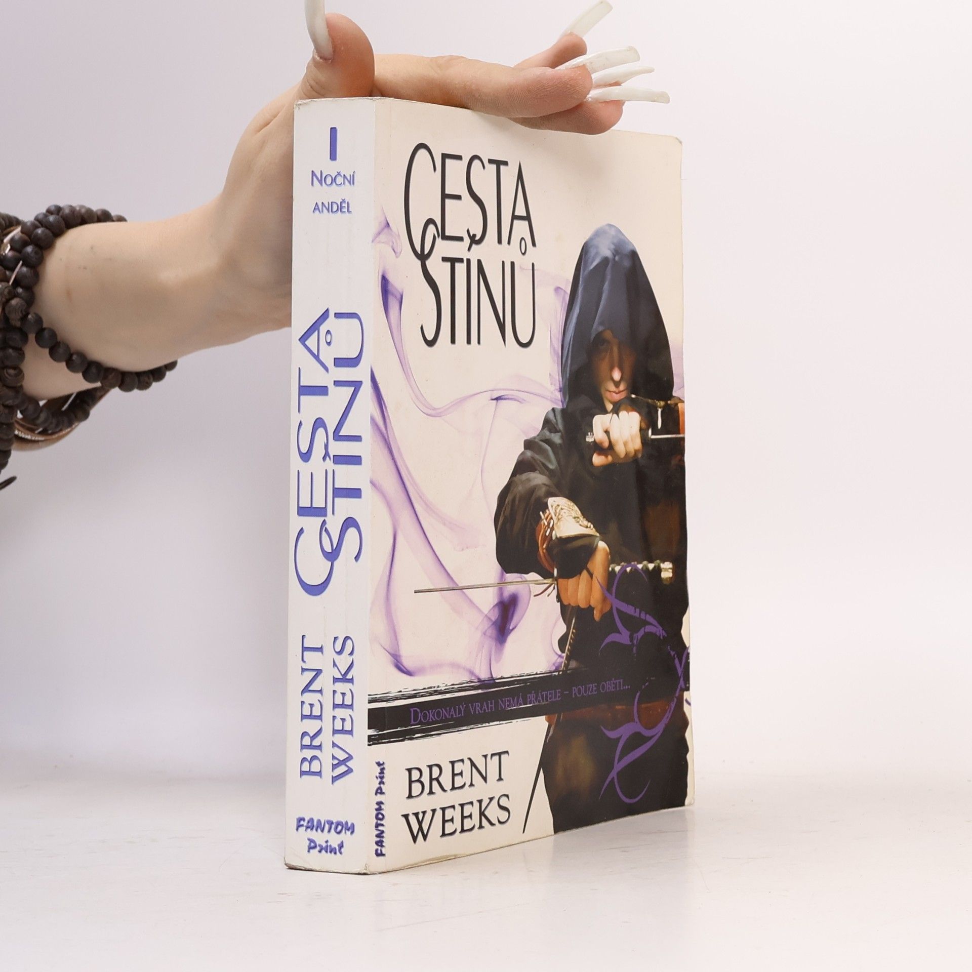 Brent Weeks Cesta stínů