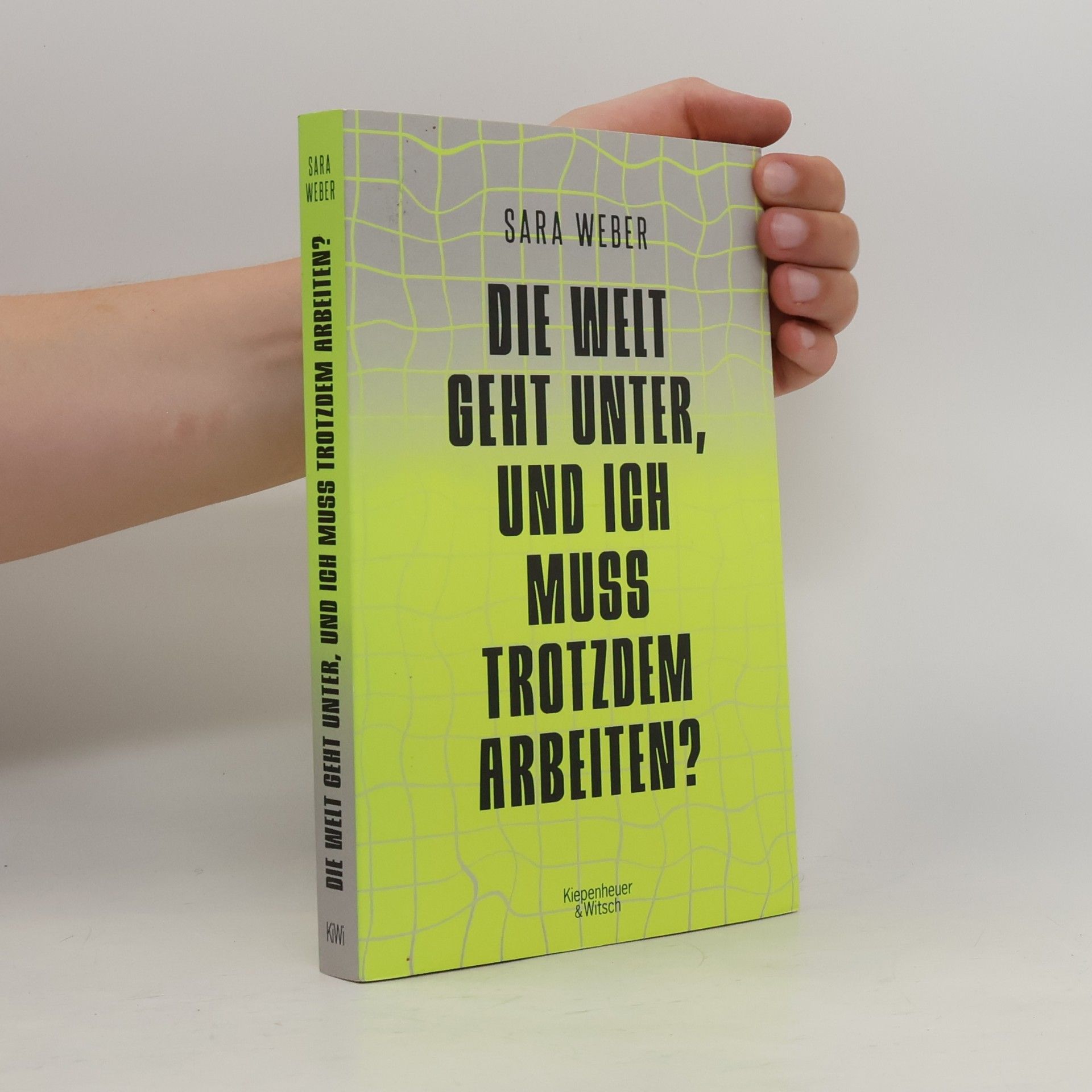 Sara Weber Die Welt geht unter, und ich muss trotzdem arbeiten?
