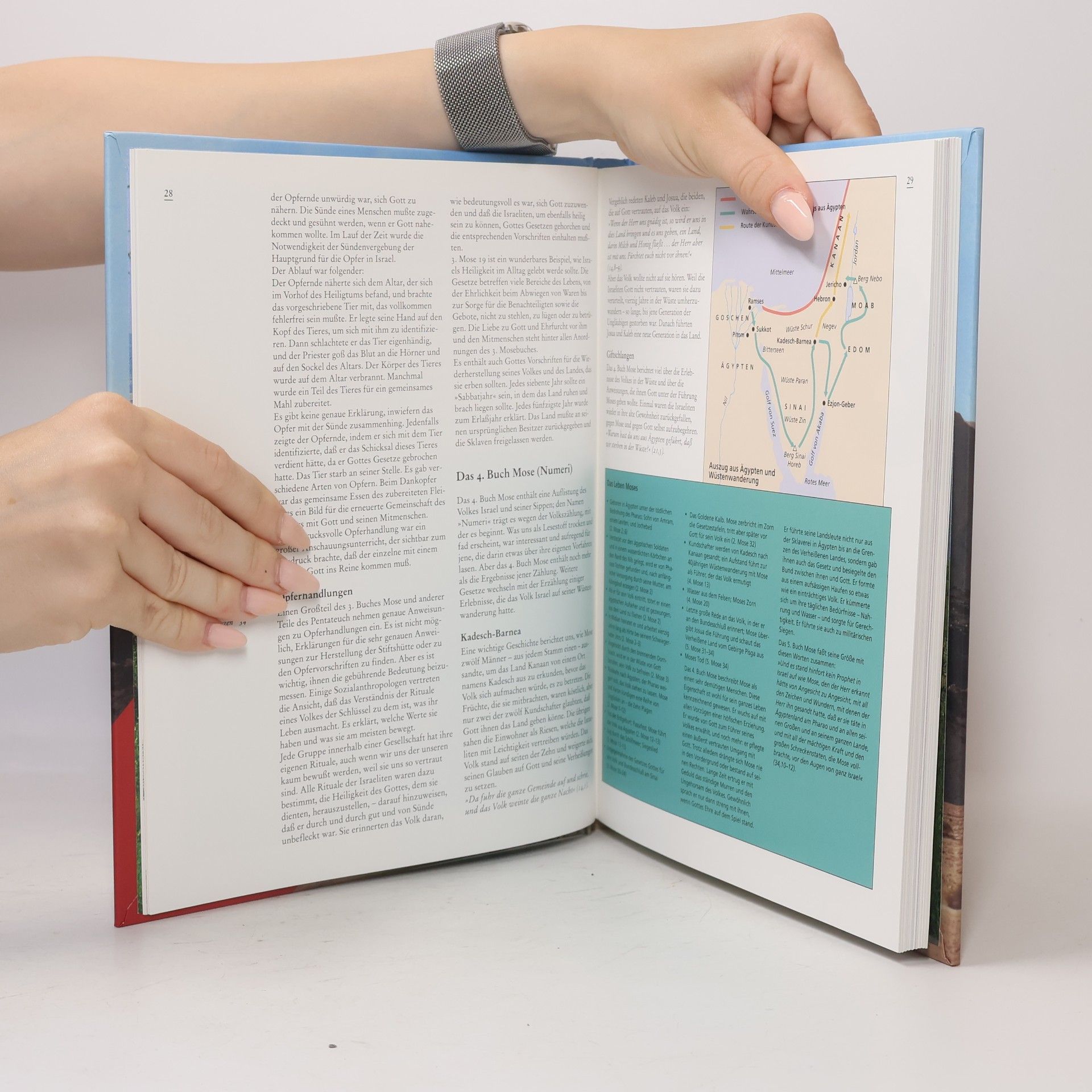 Mary Batchelor Die einzigartige Welt der Bibel. anschaulich, eindrücklich, informativ