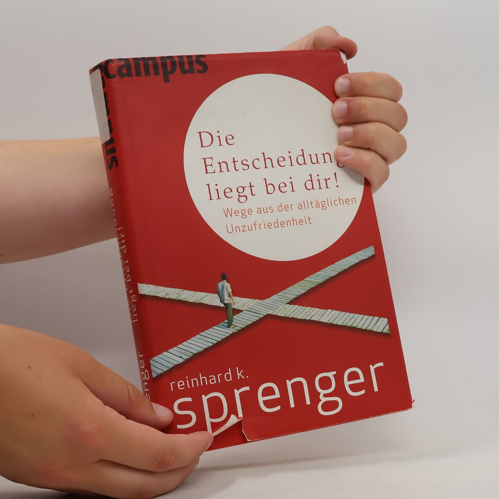 Reinhard Sprenger Die Entscheidung liegt bei dir!
