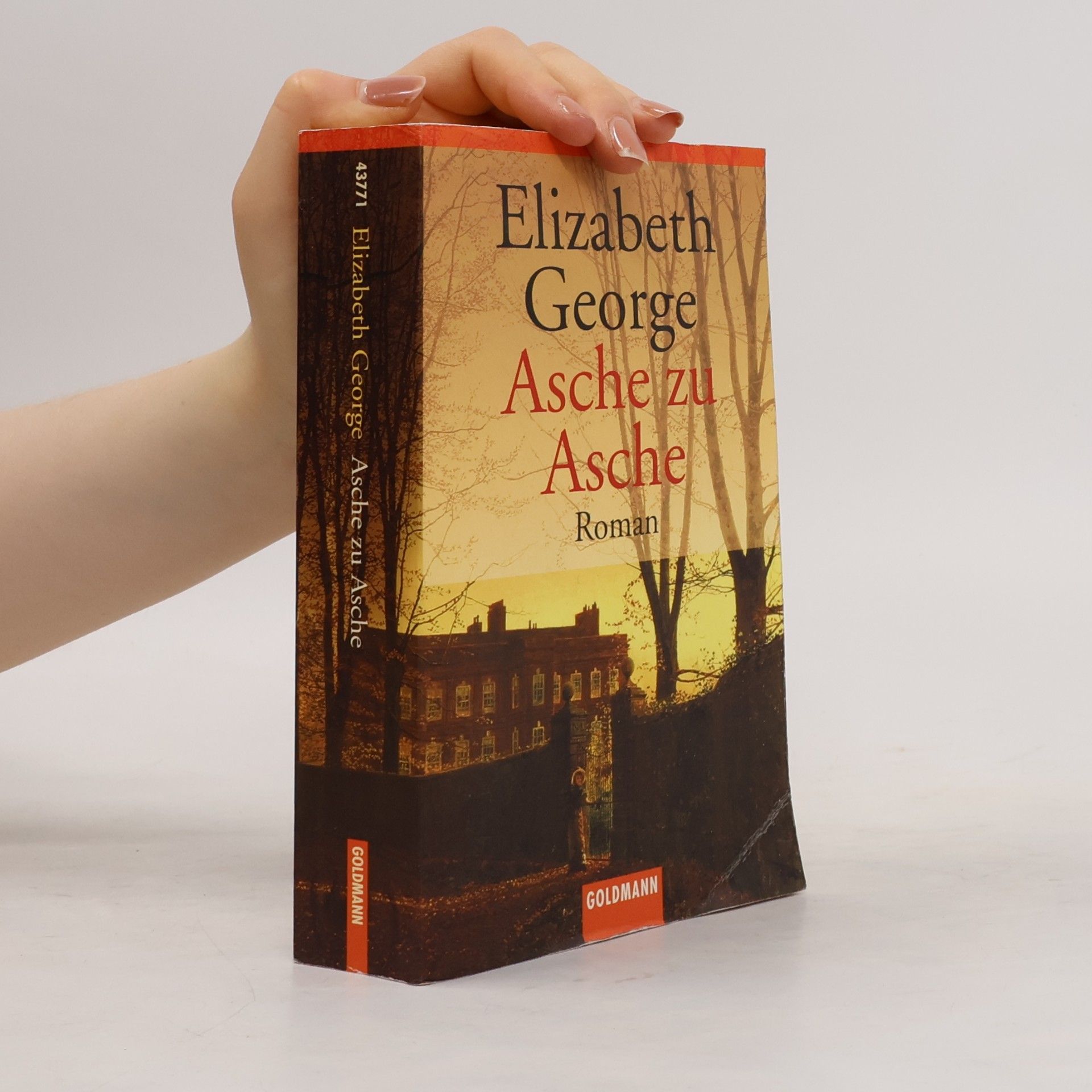 Elizabeth George Asche zu Asche