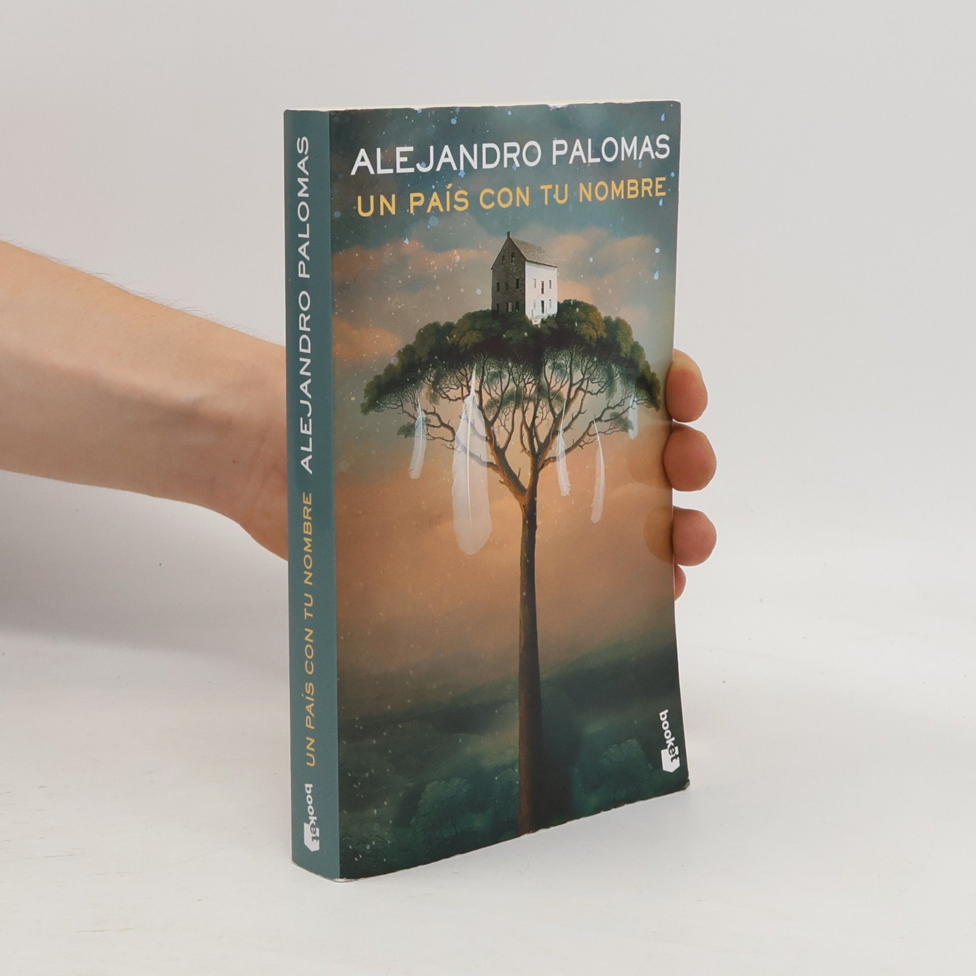 Alejandro Palomas Un pais con tu nombre
