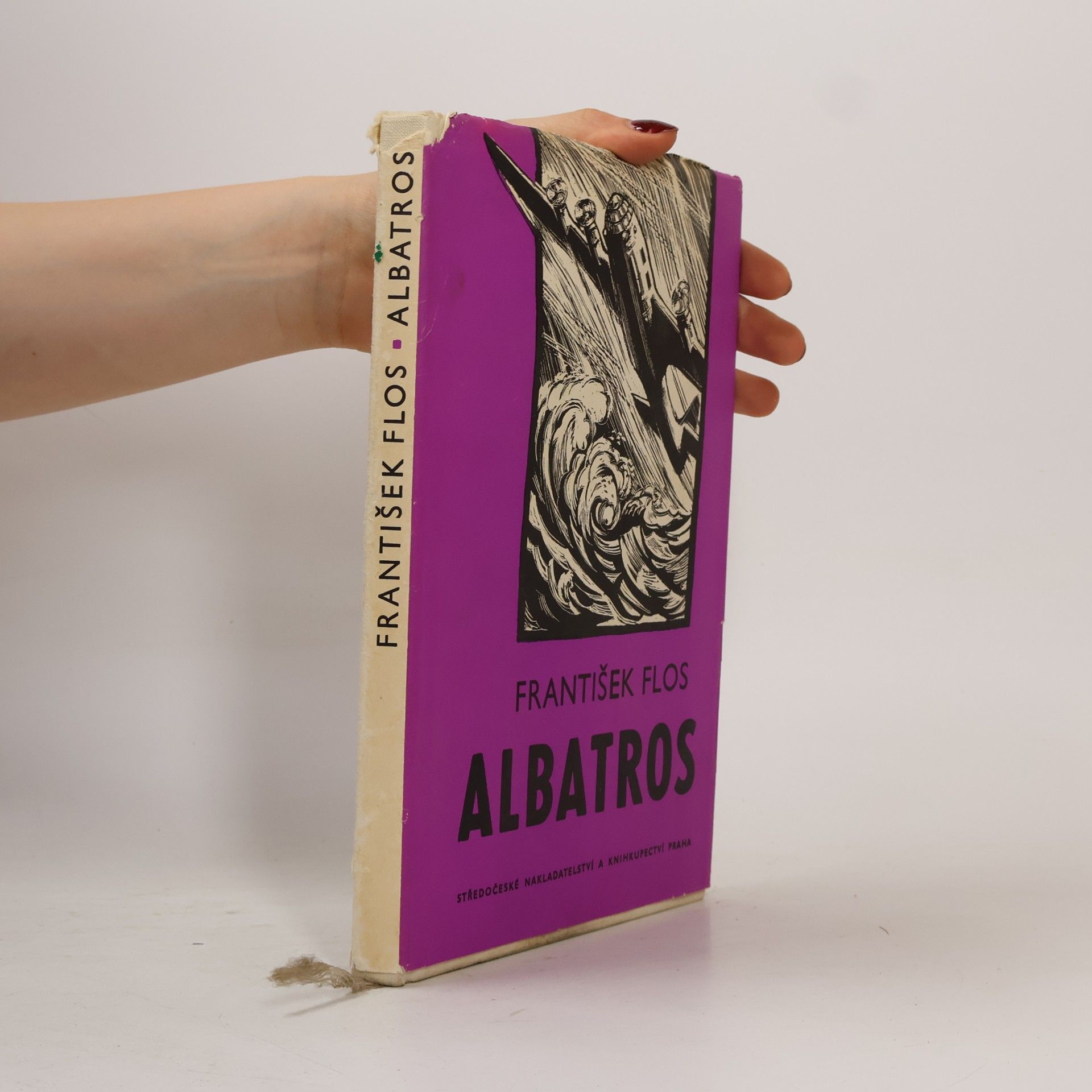 Albatros