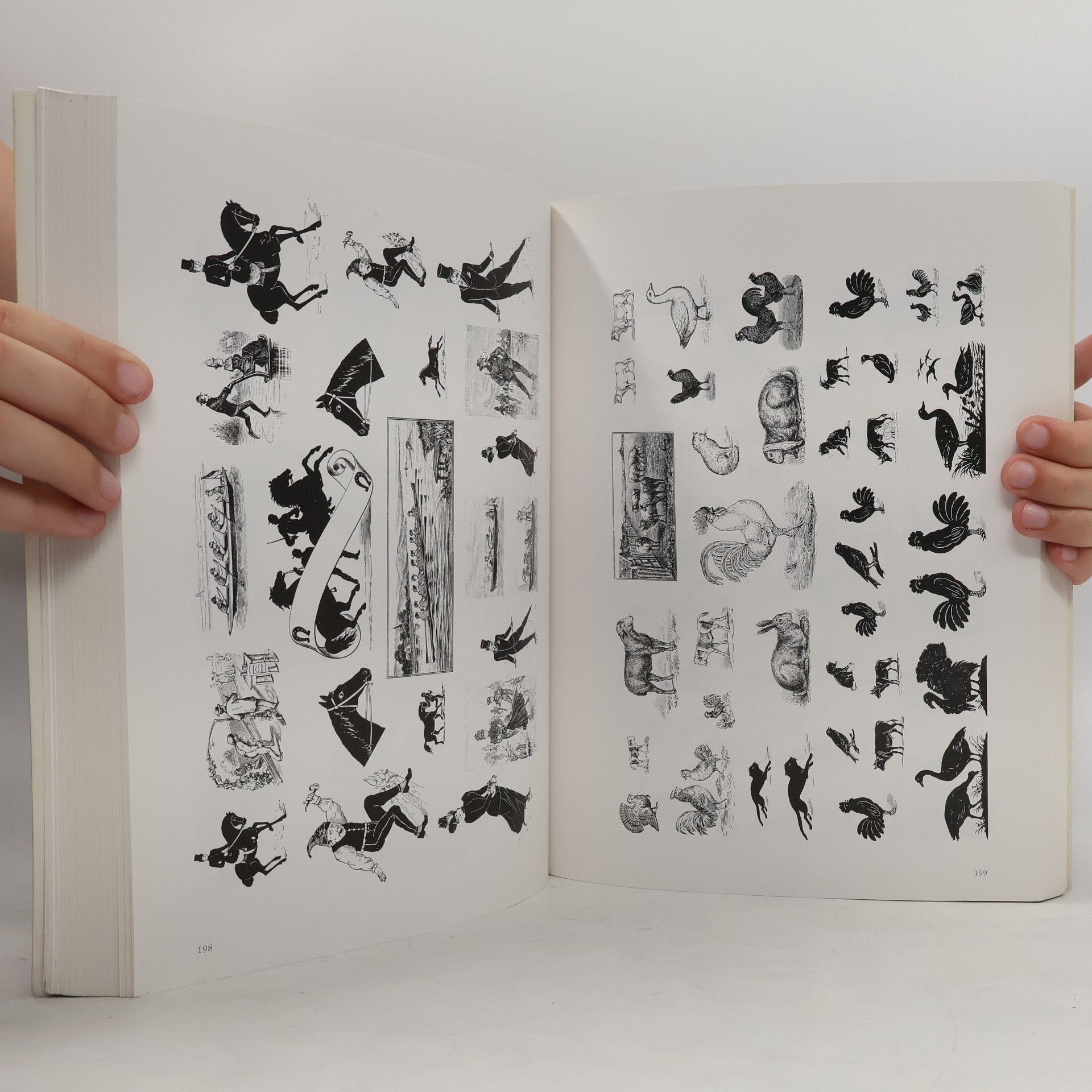 Pepin van Roojen Pepin Press Design Books: Graphic Ornaments 1900