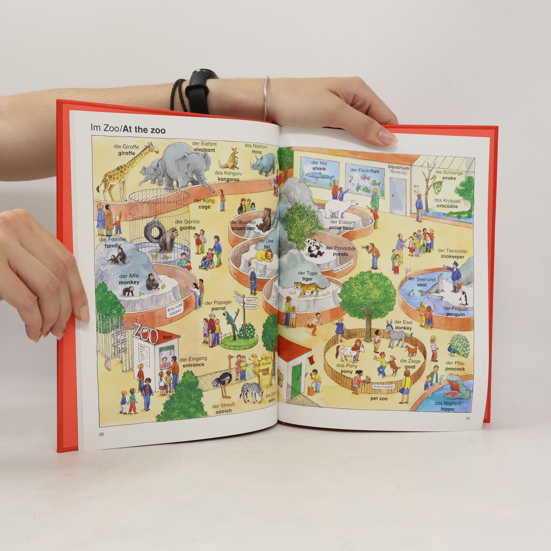 Angela Weinhold Mein erstes Englisch Bildwörterbuch