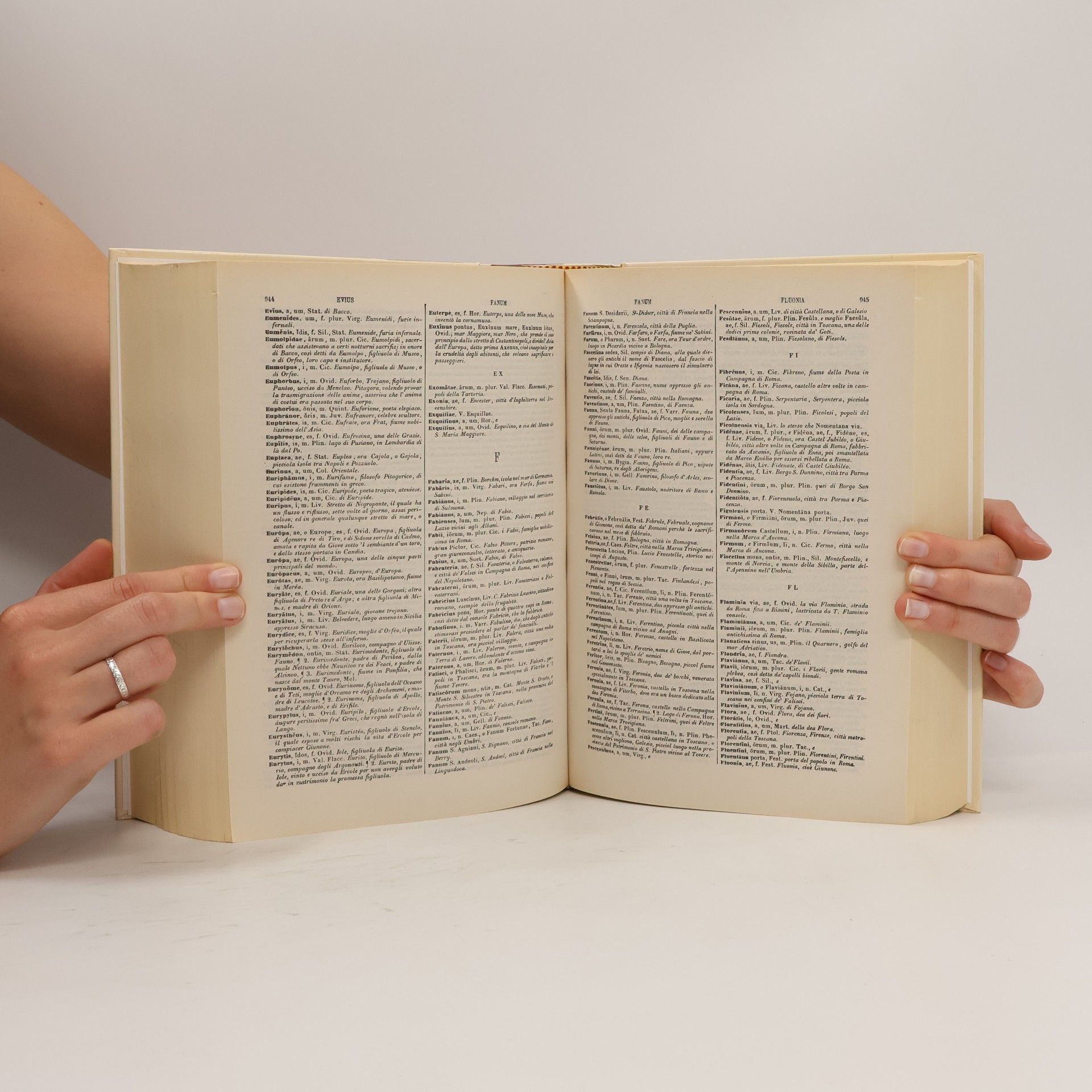T. Vallauri Dizionario Italiano Latino Latino Italiano