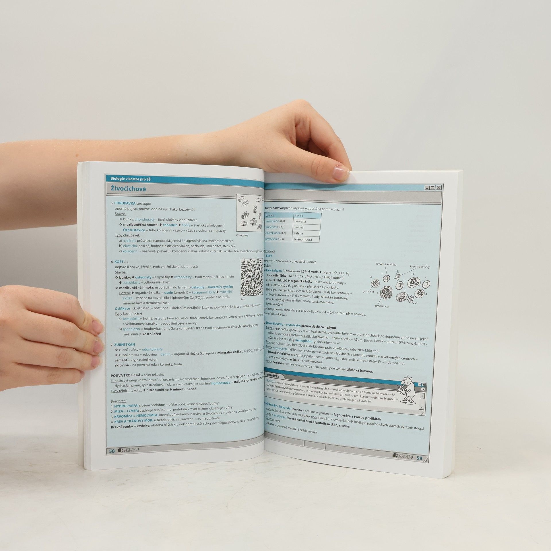 Hana Hančová Biologie v kostce : pro střední školy