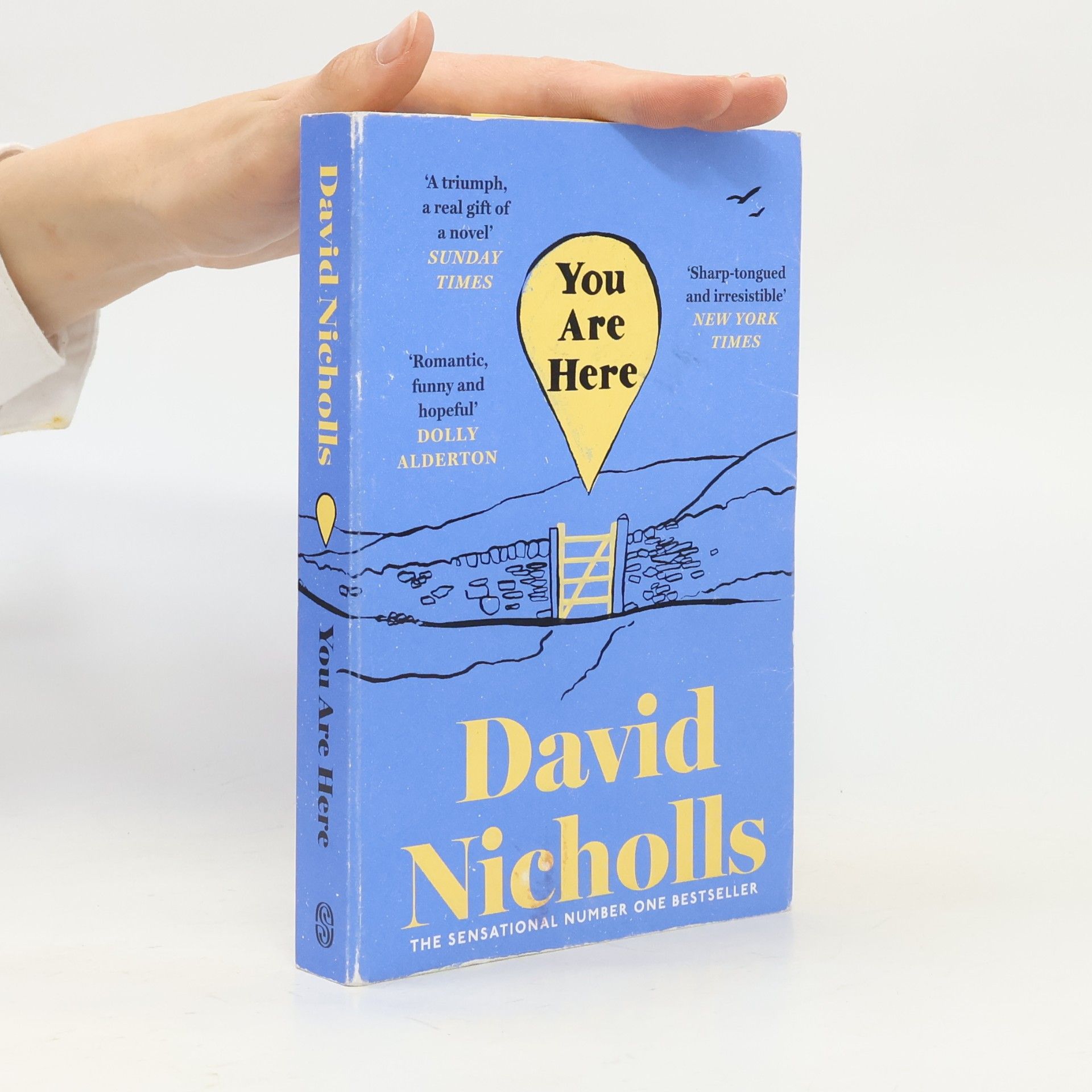 David Nicholls You Are Here