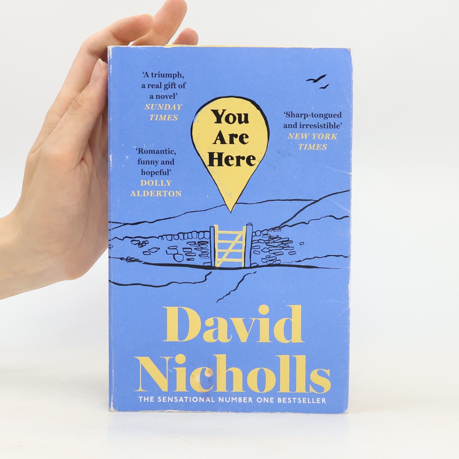 David Nicholls You Are Here
