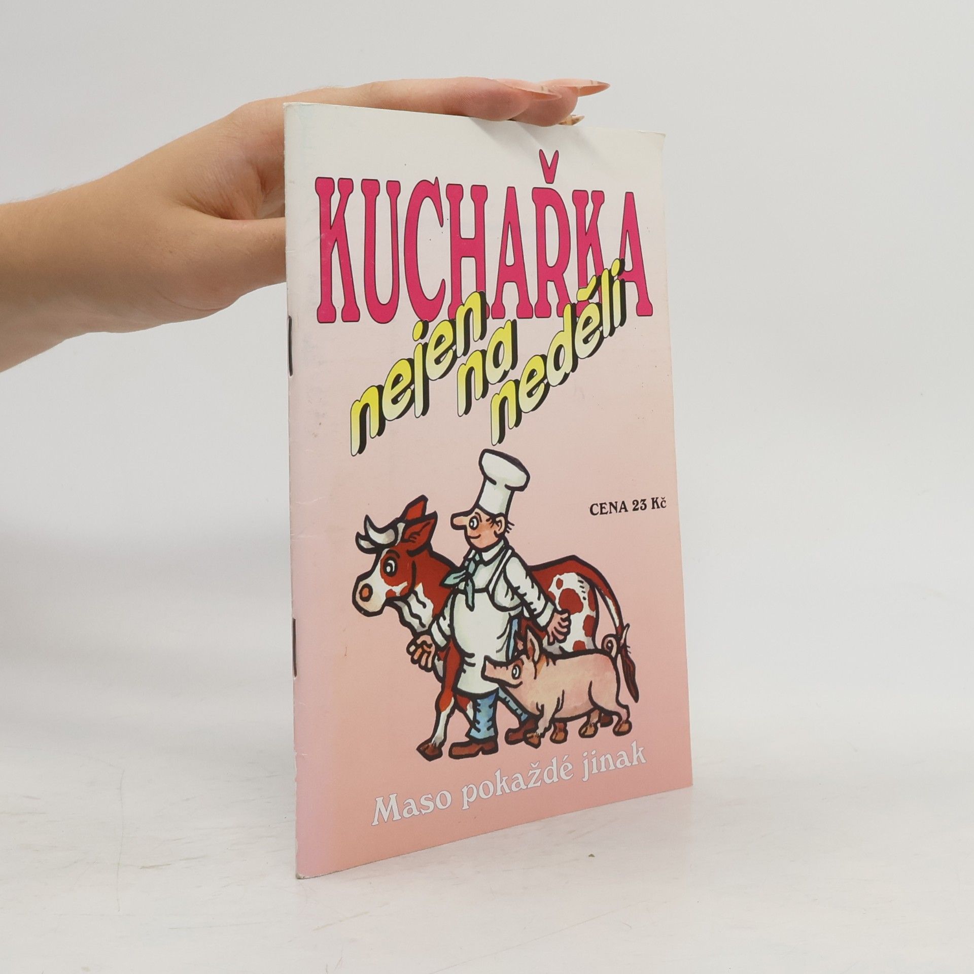Jaroslav Vašák Kuchařka nejen na neděli. Maso pokaždé jinak