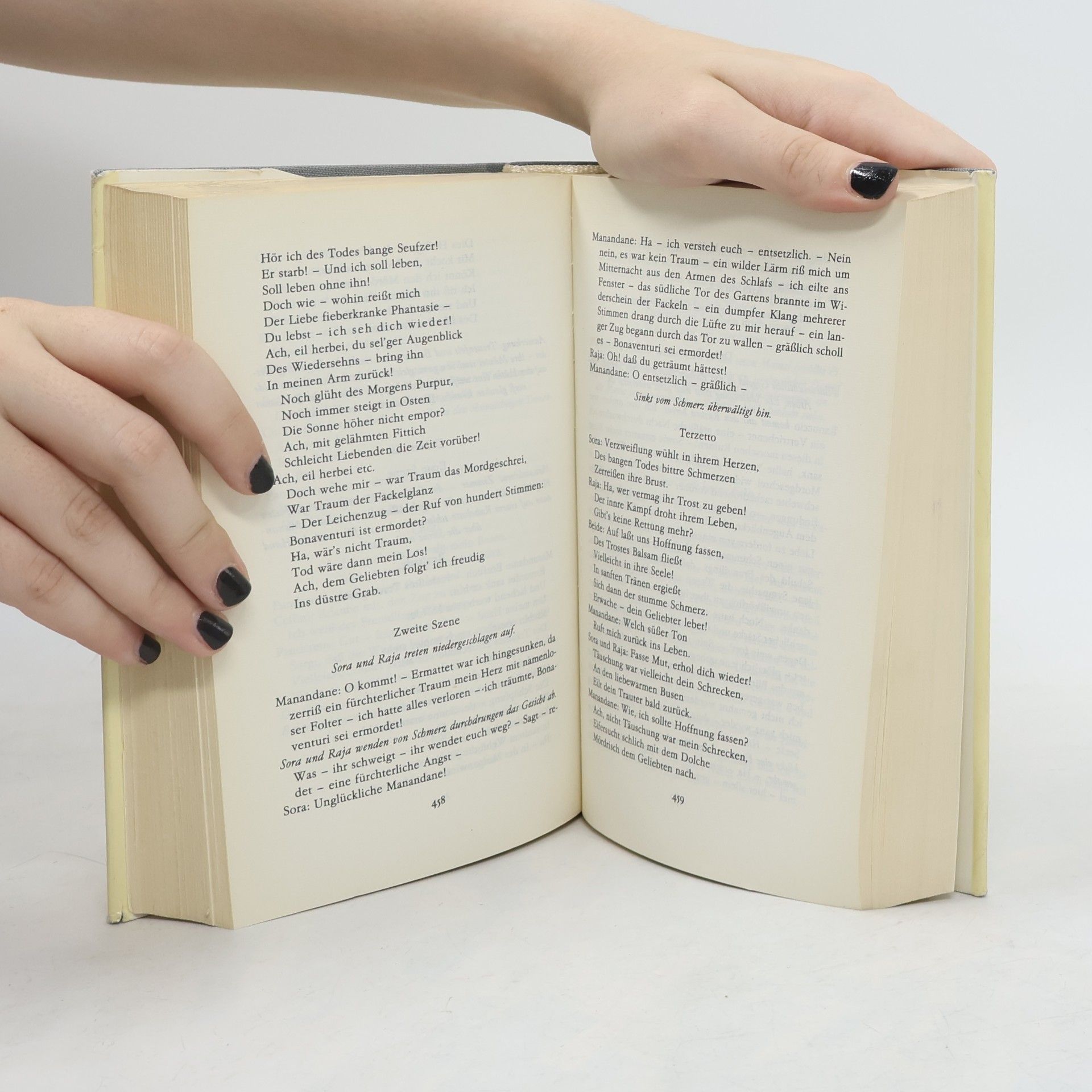 Ernst T. A. Hoffmann Schriften zur Musik. Singspiele