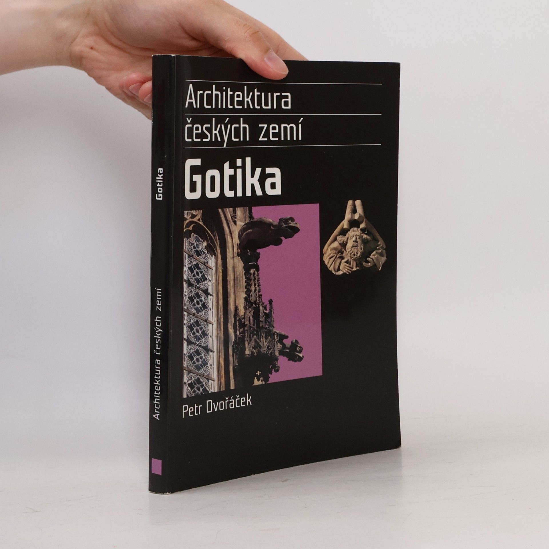 Petr Dvořáček Gotika. Architektura českých zemí