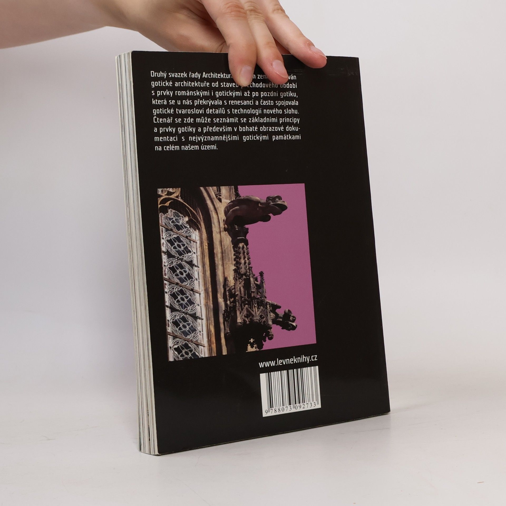 Petr Dvořáček Gotika. Architektura českých zemí