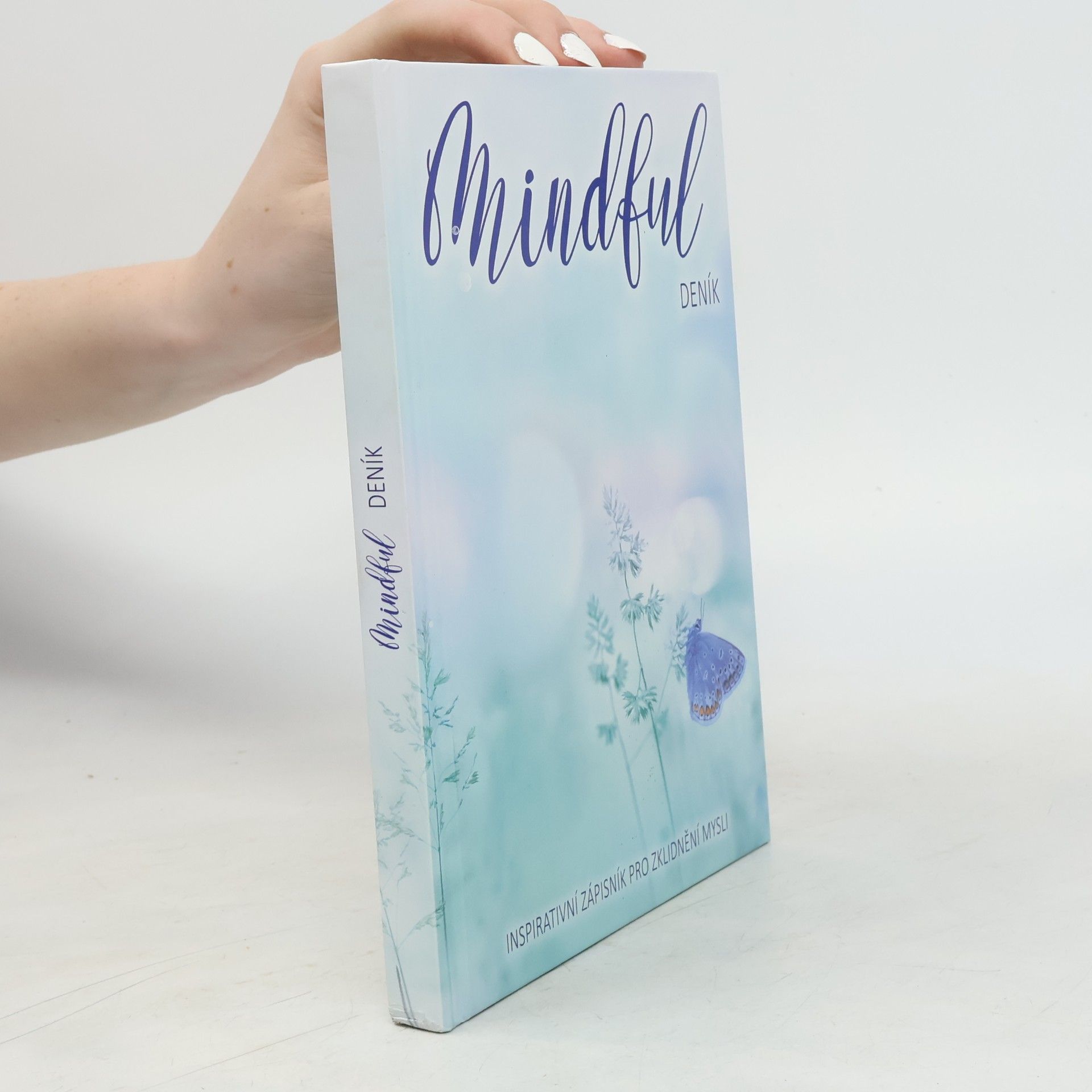 Pavla Jiřičková Mindful deník