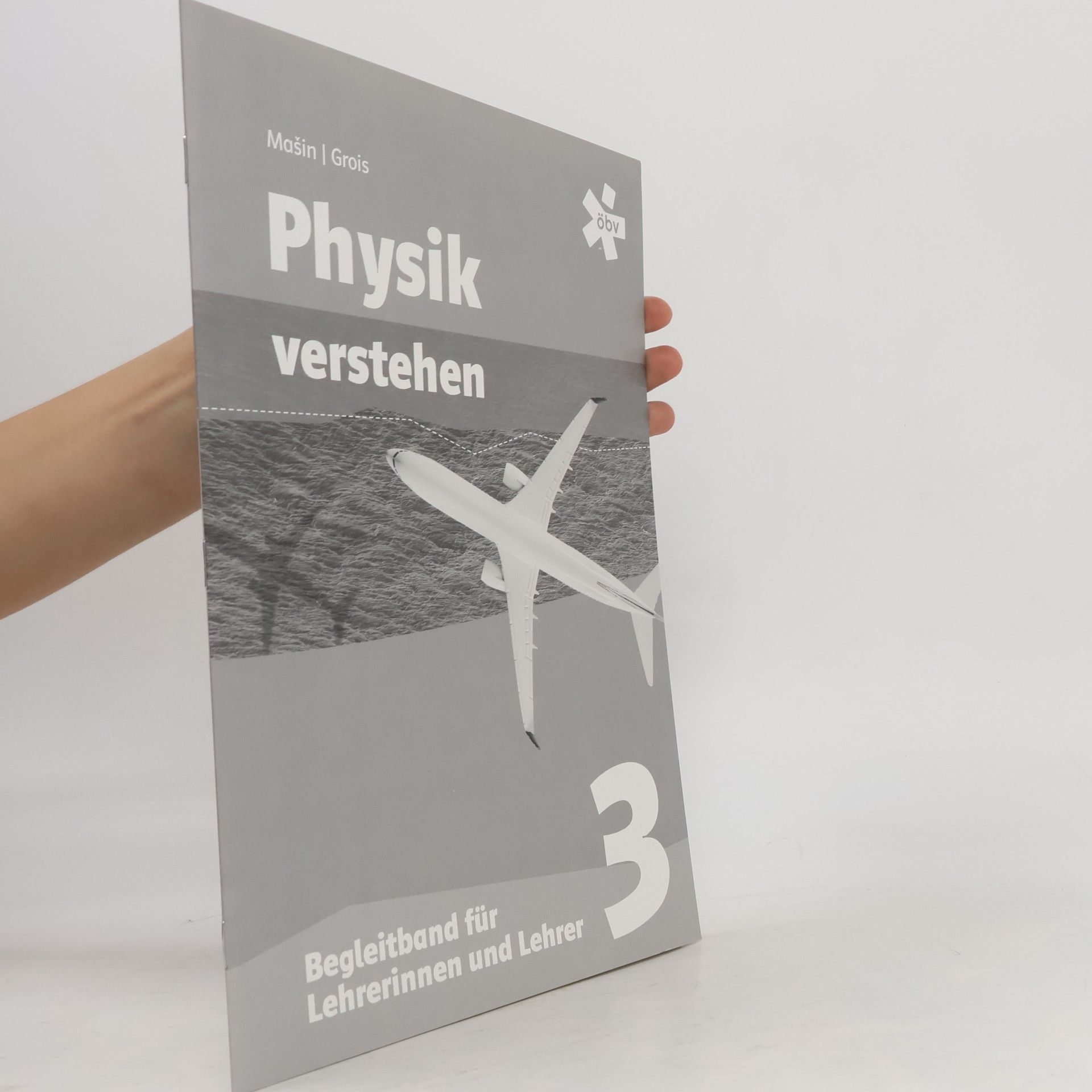 Grois Physik verstehen LB 3
