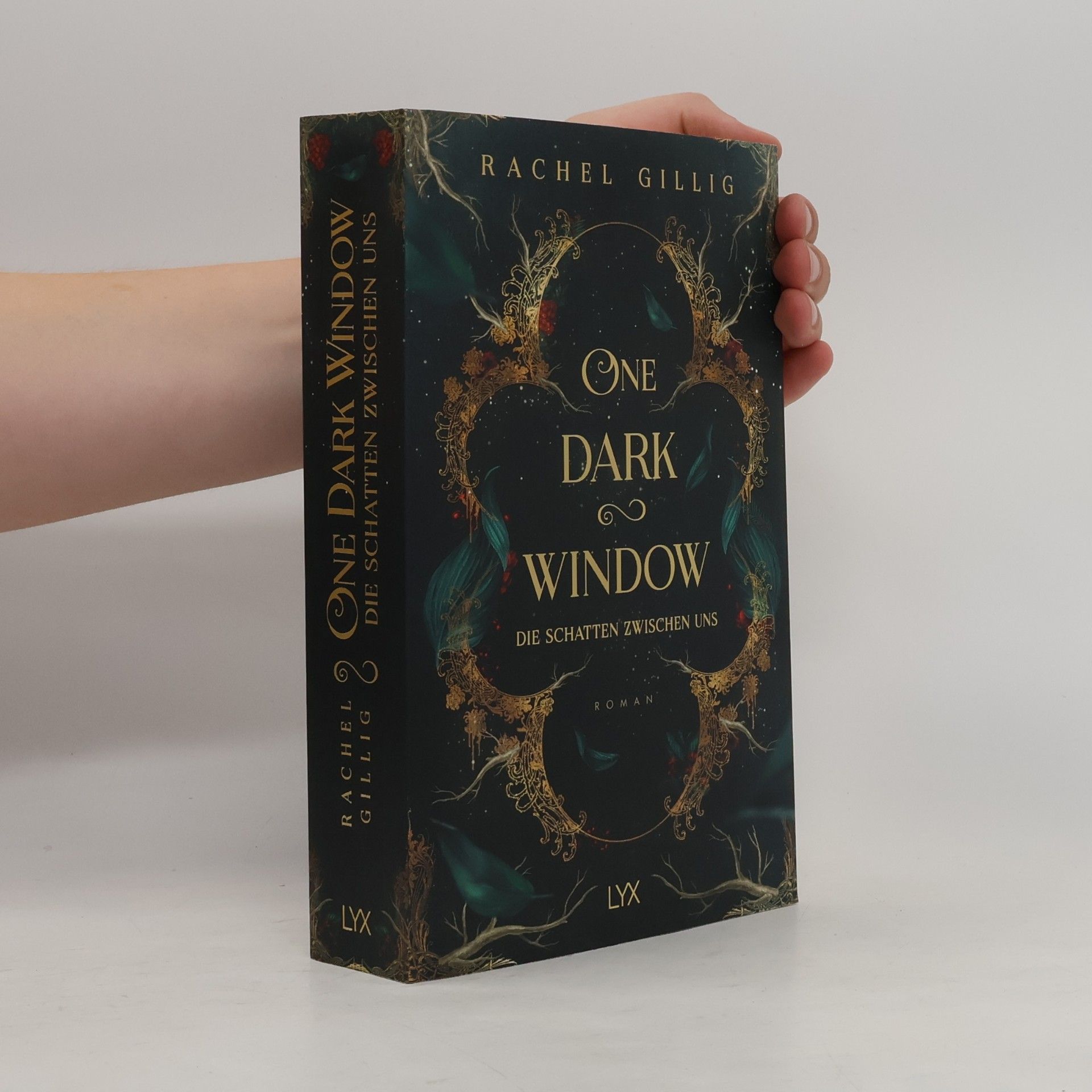 Rachel Gillig One Dark Window - Die Schatten zwischen uns